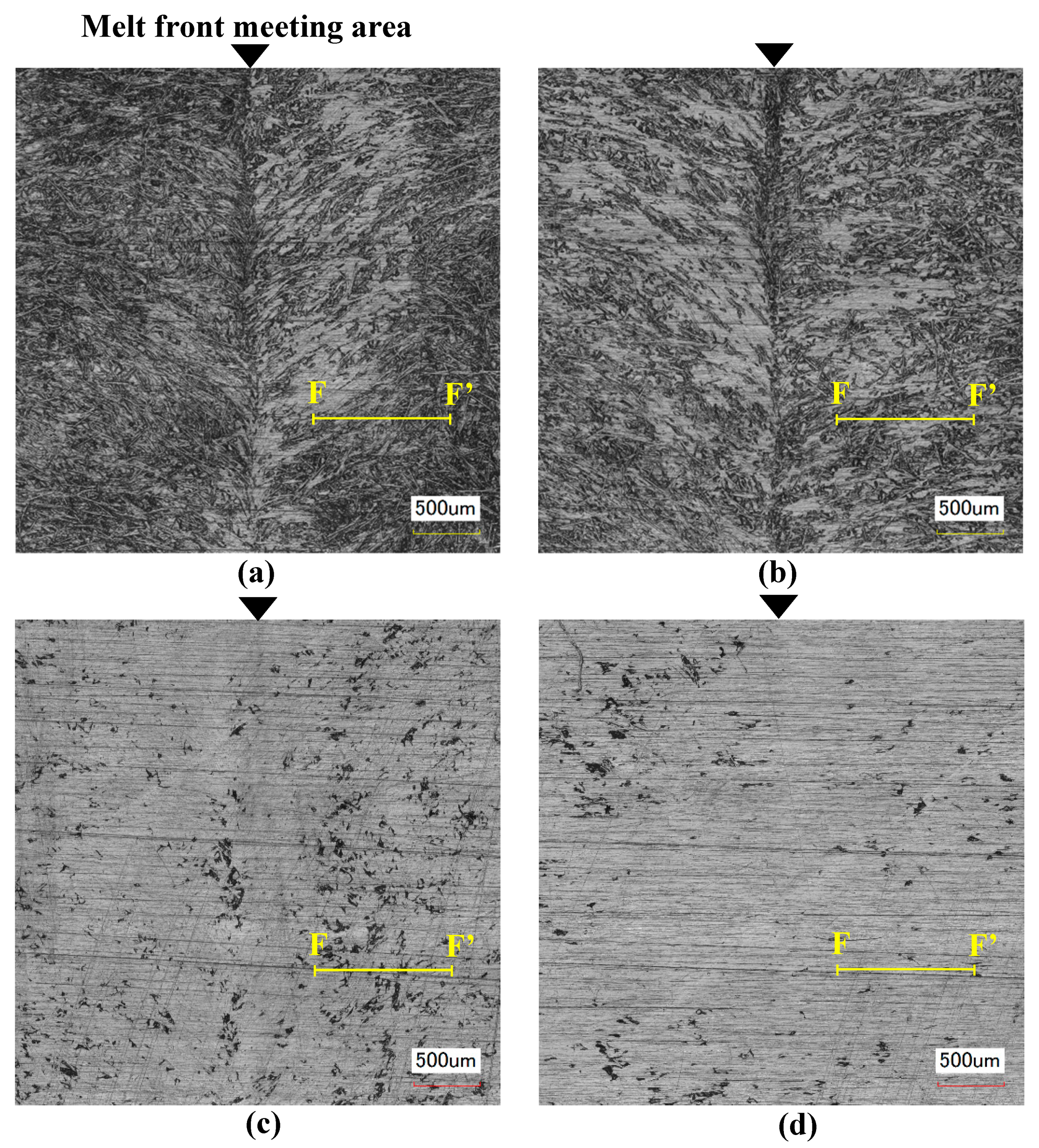 Polymers 13 00587 g006