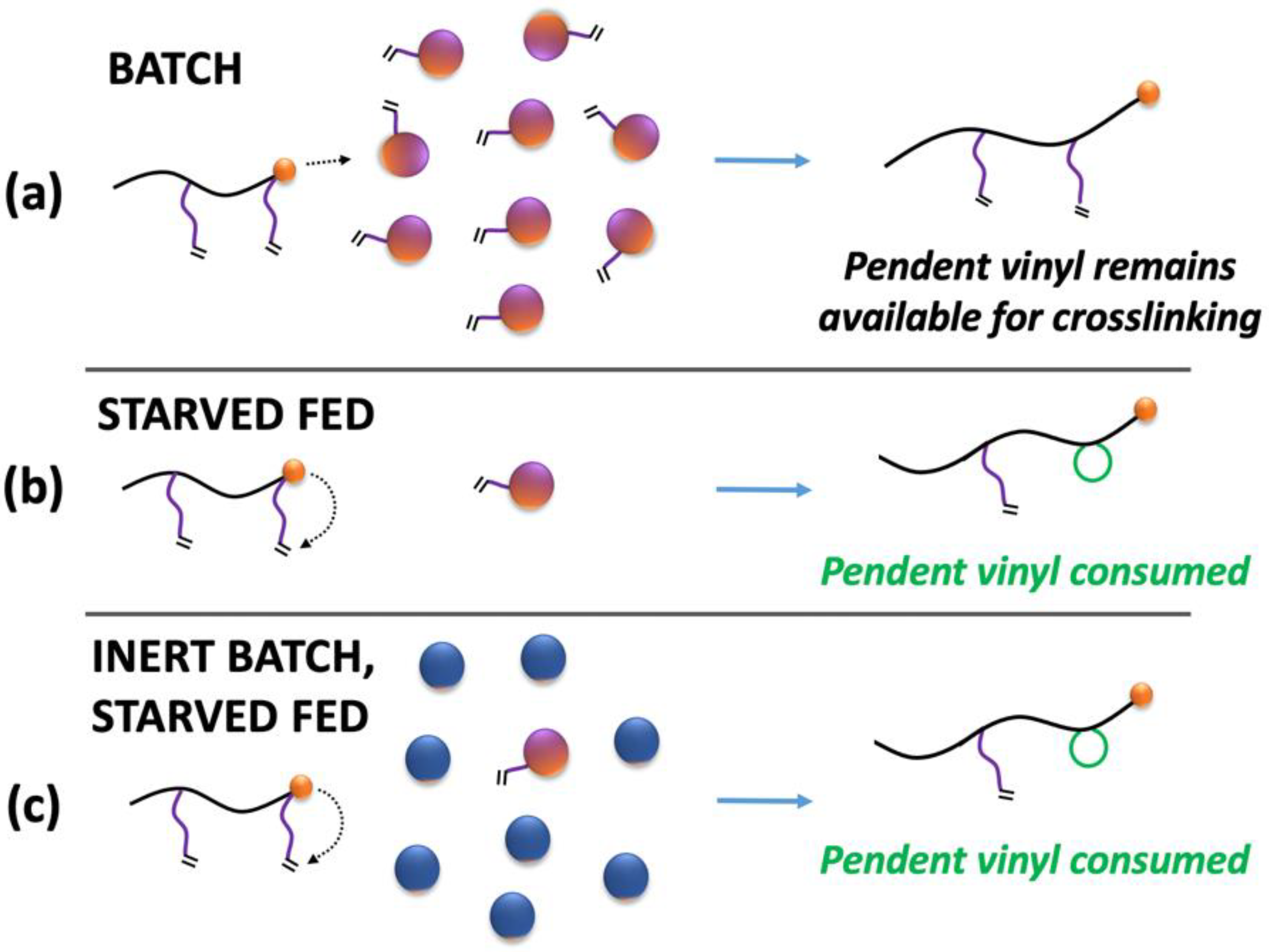 Polymers 13 00596 g002