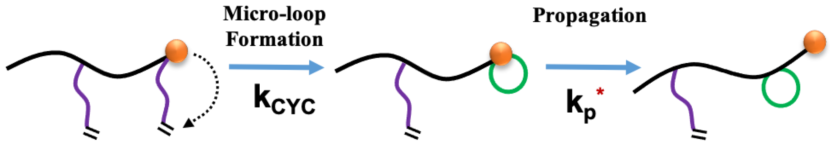 Polymers 13 00596 sch001