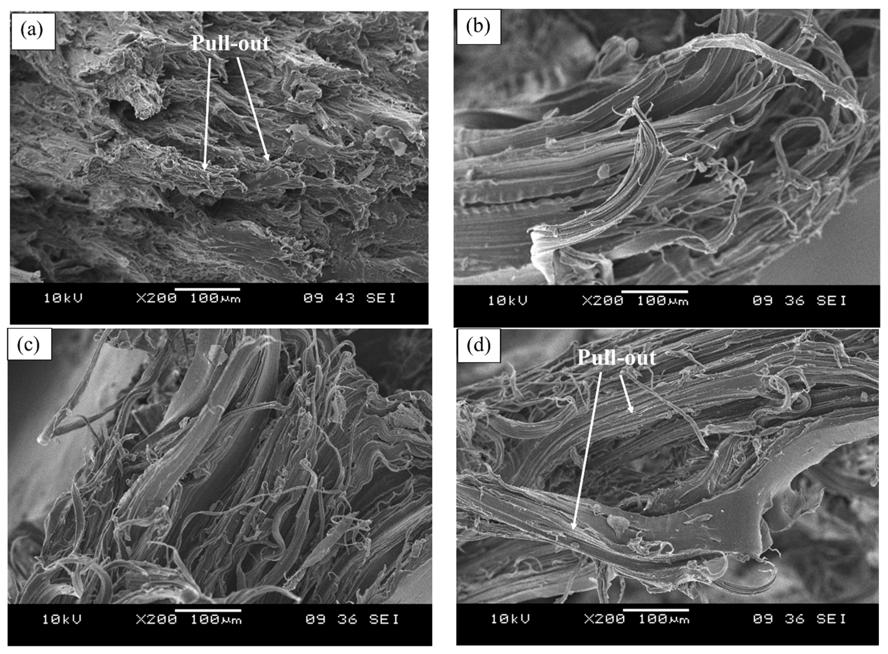 Polymers 13 00600 g003 Polymers 13 00600 g003