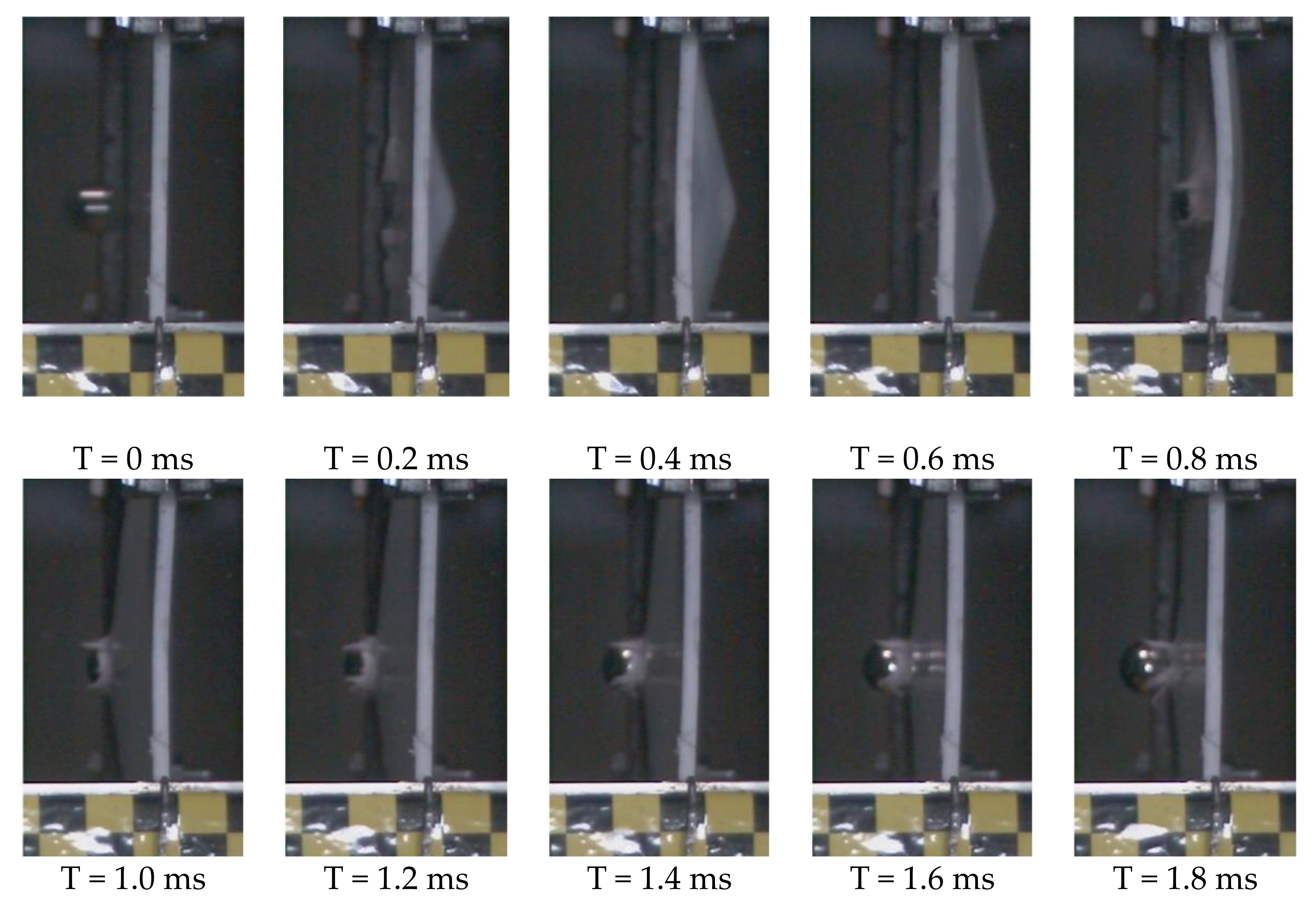 Polymers 13 00604 g005 Polymers 13 00604 g005