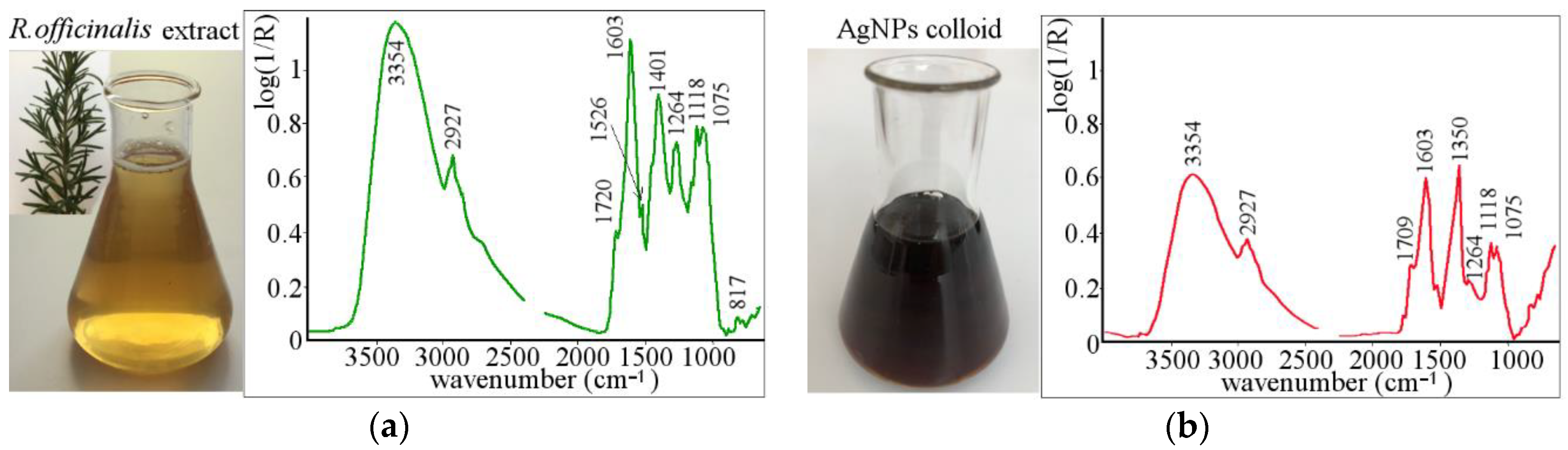 Polymers 13 00605 g001 Polymers 13 00605 g001