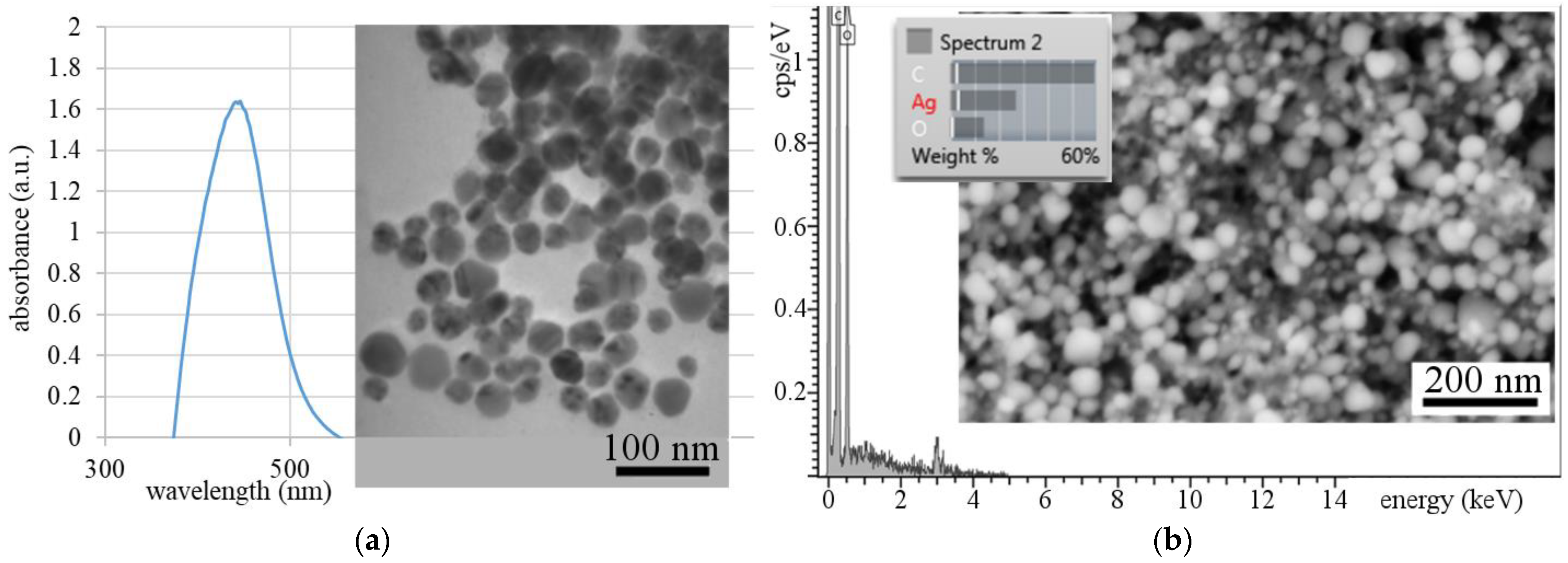 Polymers 13 00605 g002 Polymers 13 00605 g002