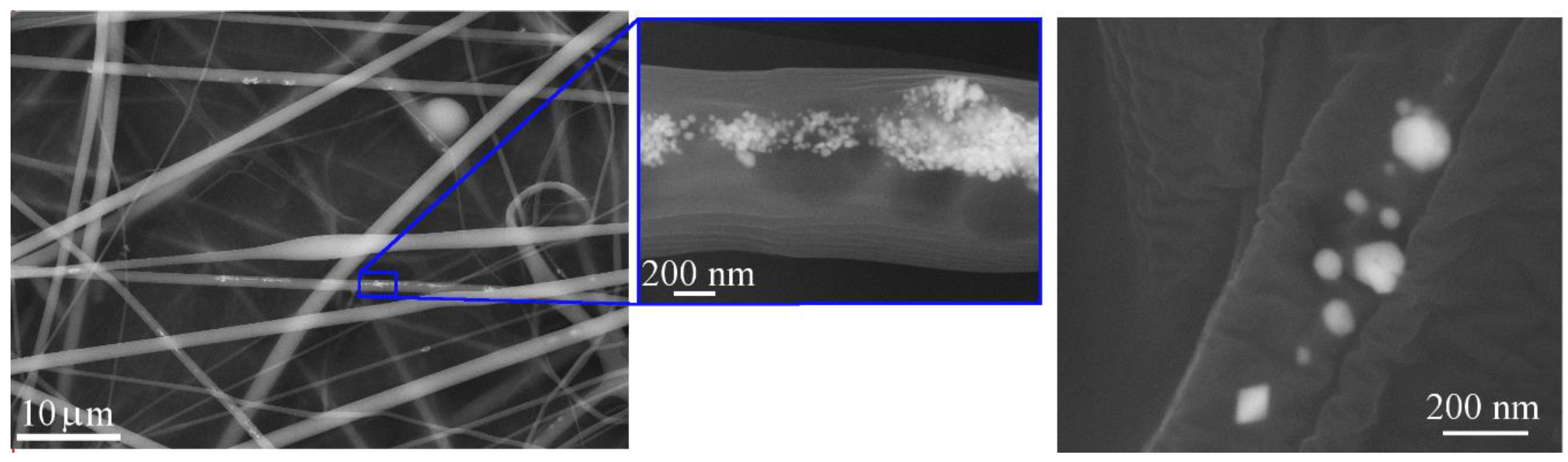 Polymers 13 00605 g005 Polymers 13 00605 g005