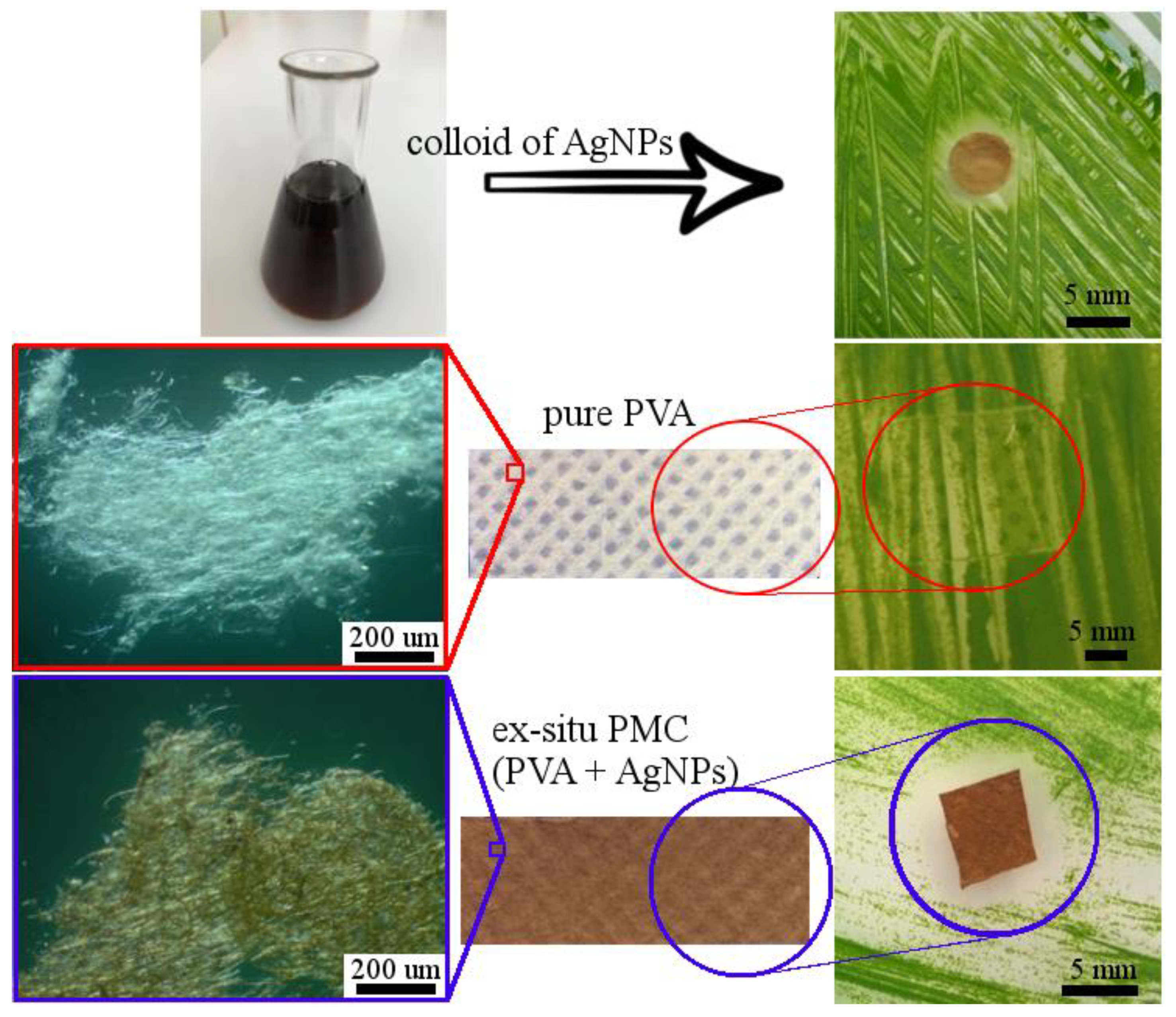 Polymers 13 00605 g007 Polymers 13 00605 g007