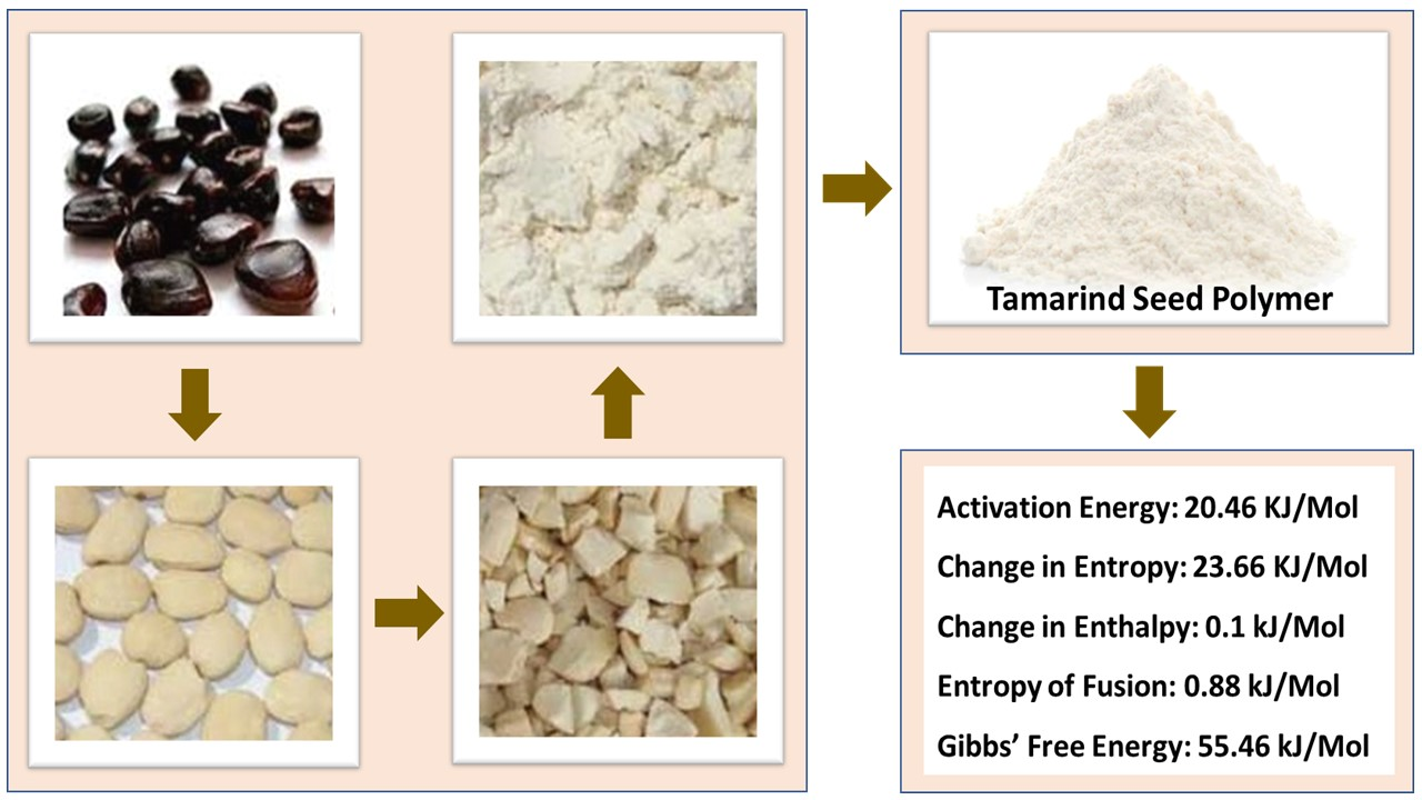 Polymers Free Full Text Determination Of Temperature Dependent Coefficients Of Viscosity And Surface Tension Of Tamarind Seeds Tamarindus Indica L Polymer Html Polymers Free Full Text Determination Of Temperature Dependent Coefficients Of Viscosity And Surface Tension Of Tamarind Seeds Tamarindus Indica L Polymer Html