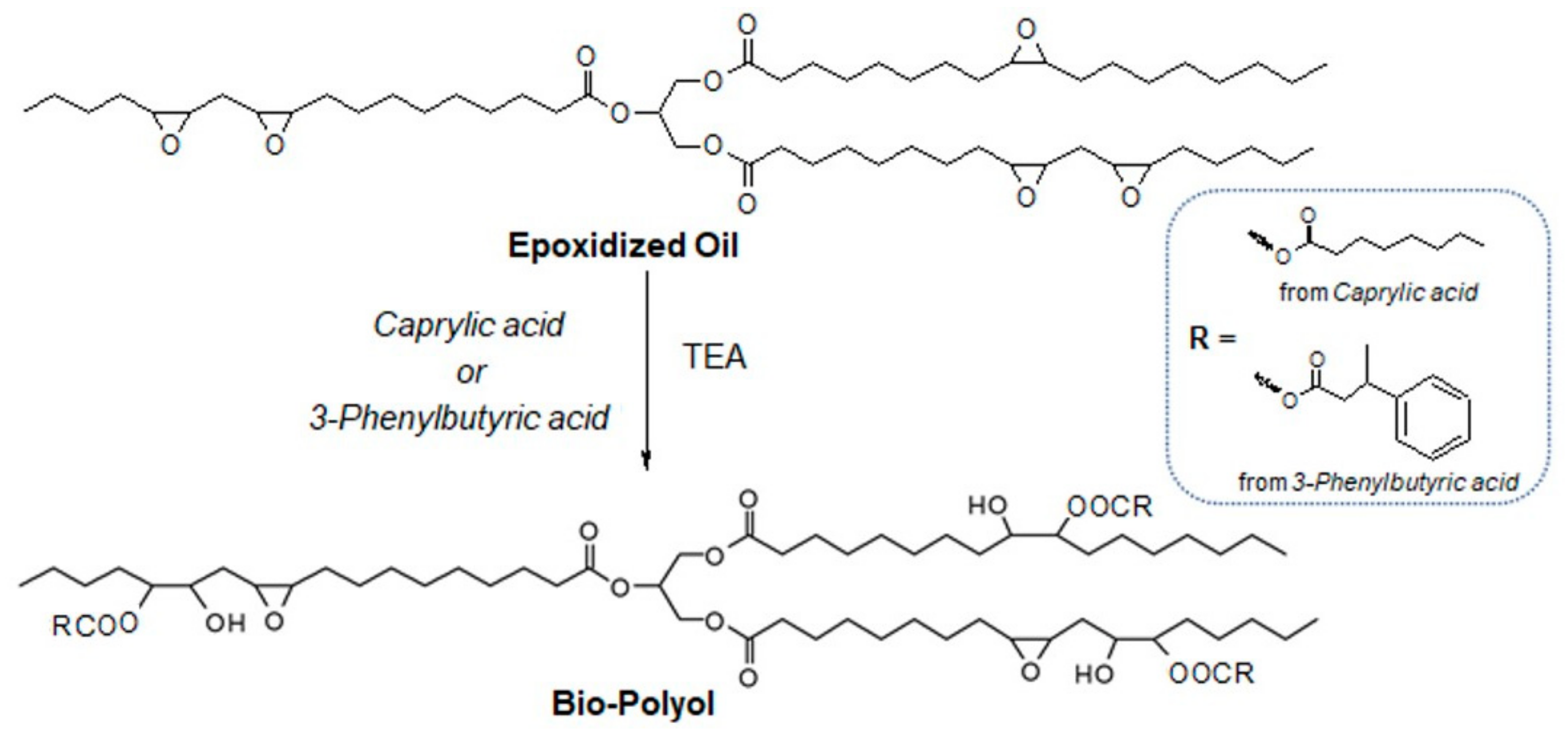 Polymers Free FullText Flexible Polyurethane Foams from Epoxidized
