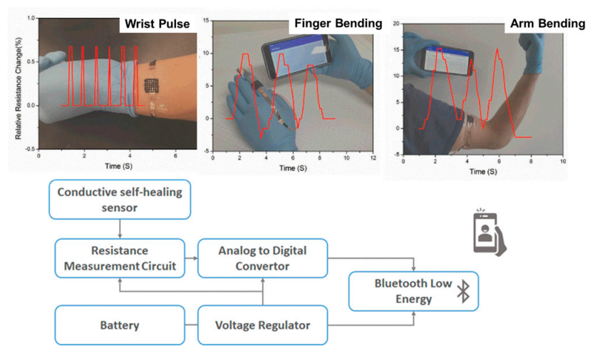 Polymers 13 00613 g008 Polymers 13 00613 g008