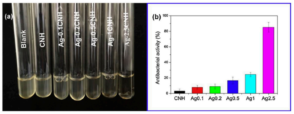 Polymers 13 00613 g012 Polymers 13 00613 g012
