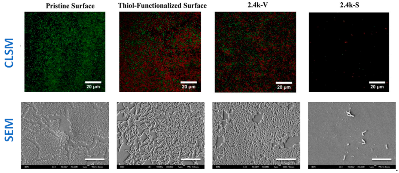 Polymers 13 00613 g013 Polymers 13 00613 g013