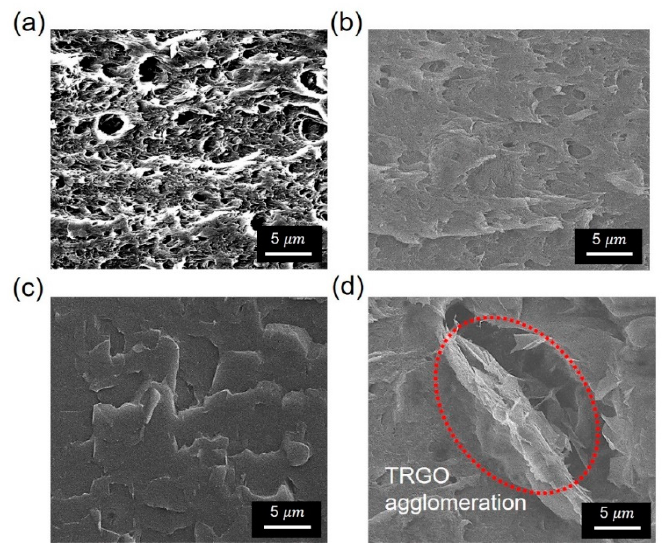 Polymers 13 00615 g007 Polymers 13 00615 g007