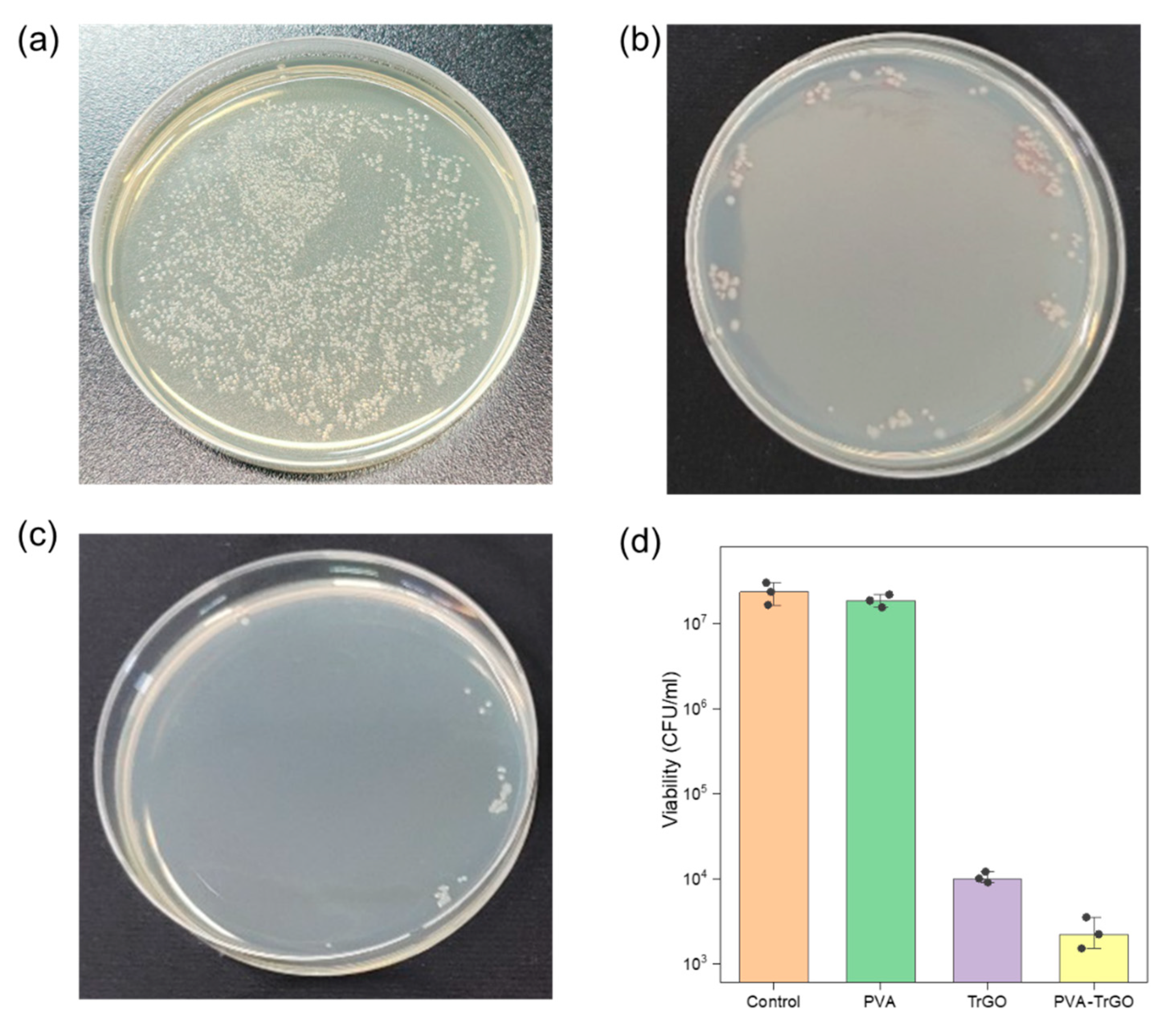 Polymers 13 00615 g012 Polymers 13 00615 g012