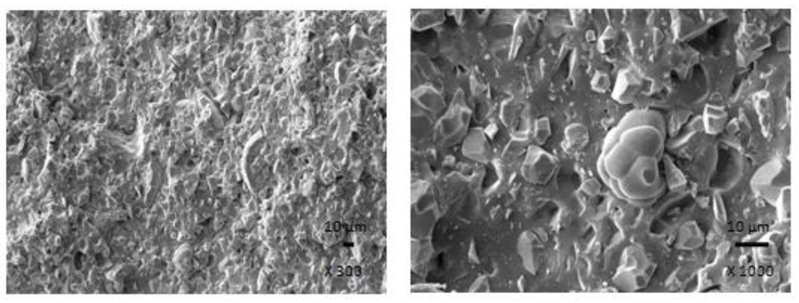 Polymers 13 00616 g004
