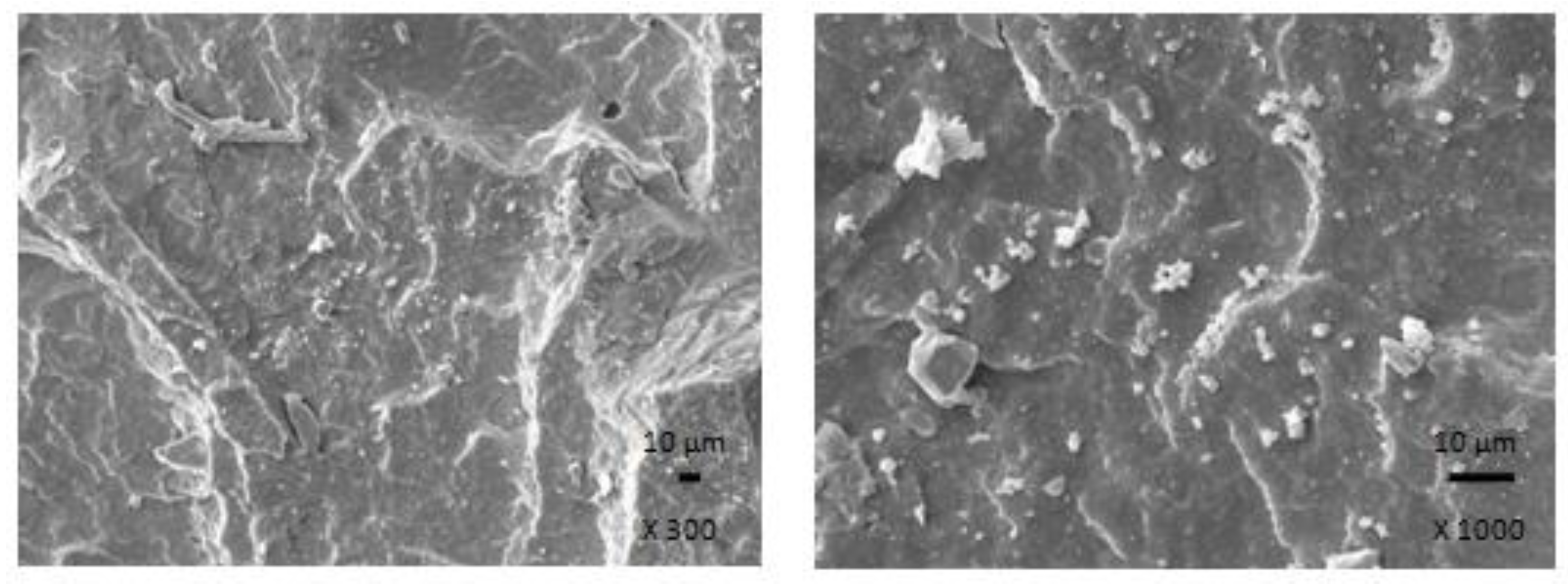 Polymers 13 00616 g006