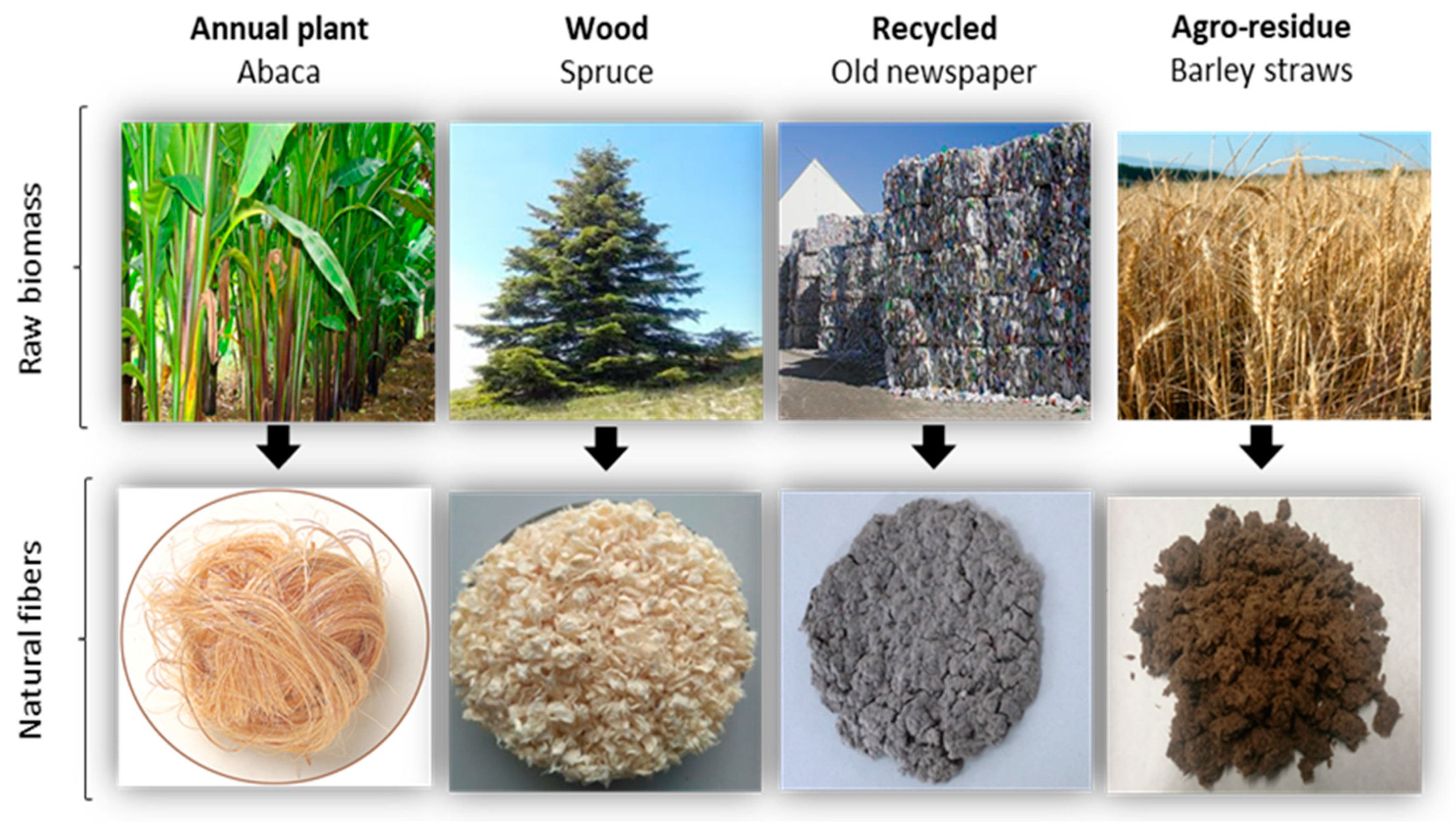 Polymers 13 00619 g002