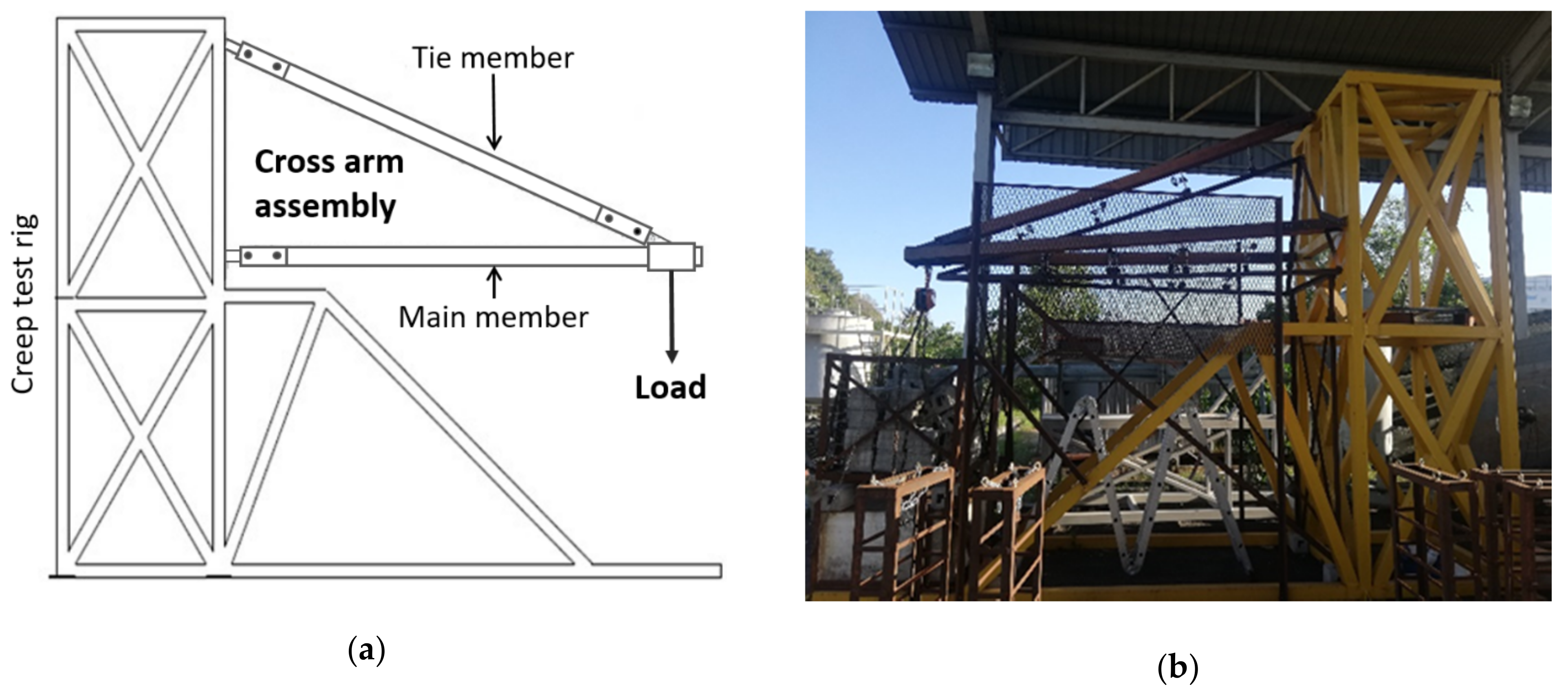 Polymers 13 00620 g004