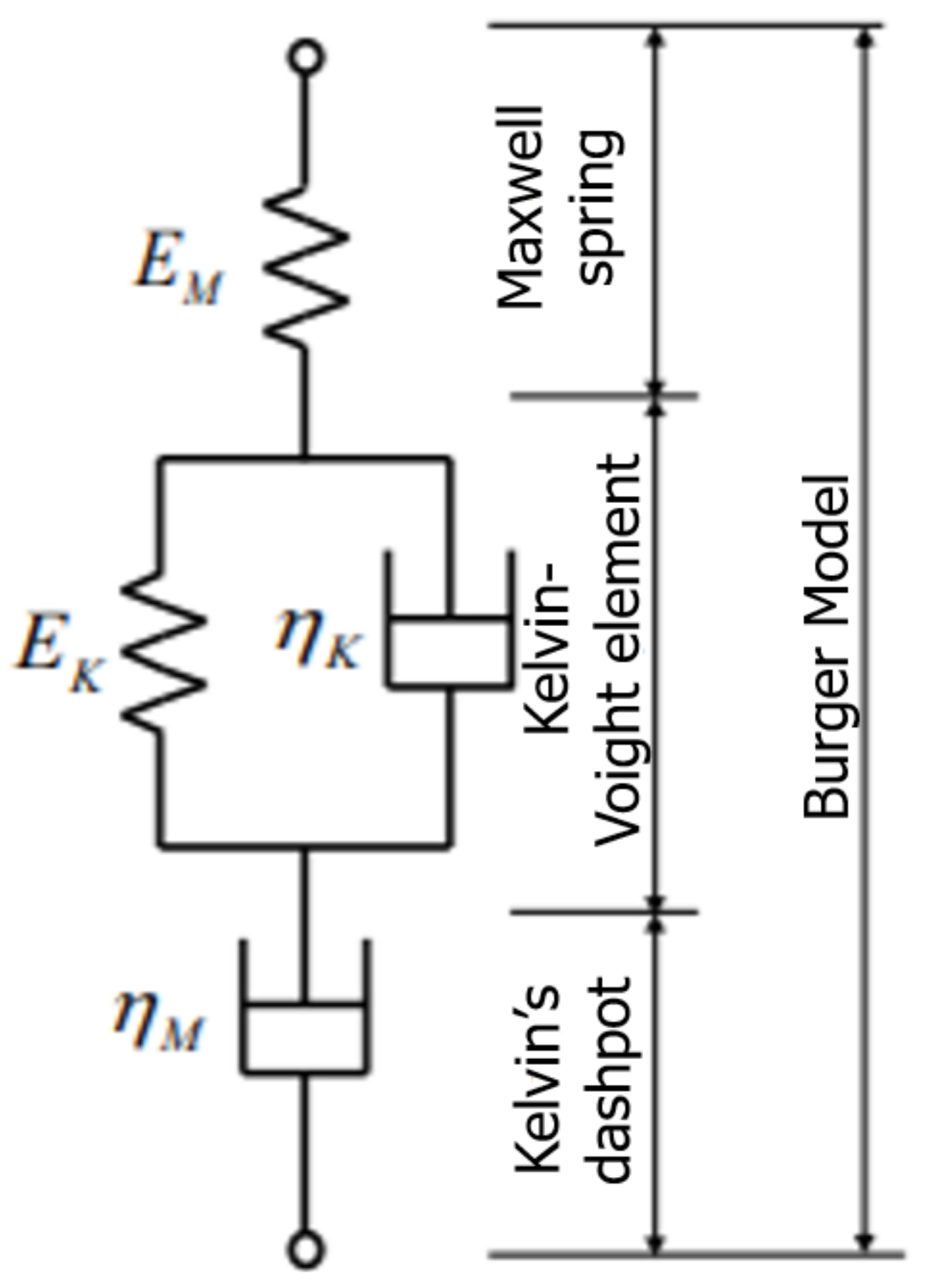 Polymers 13 00620 g006