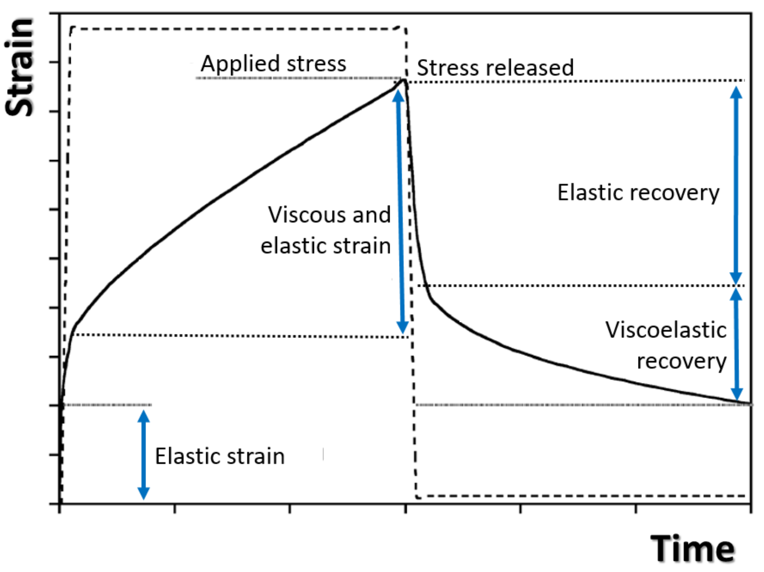 Polymers 13 00620 g007