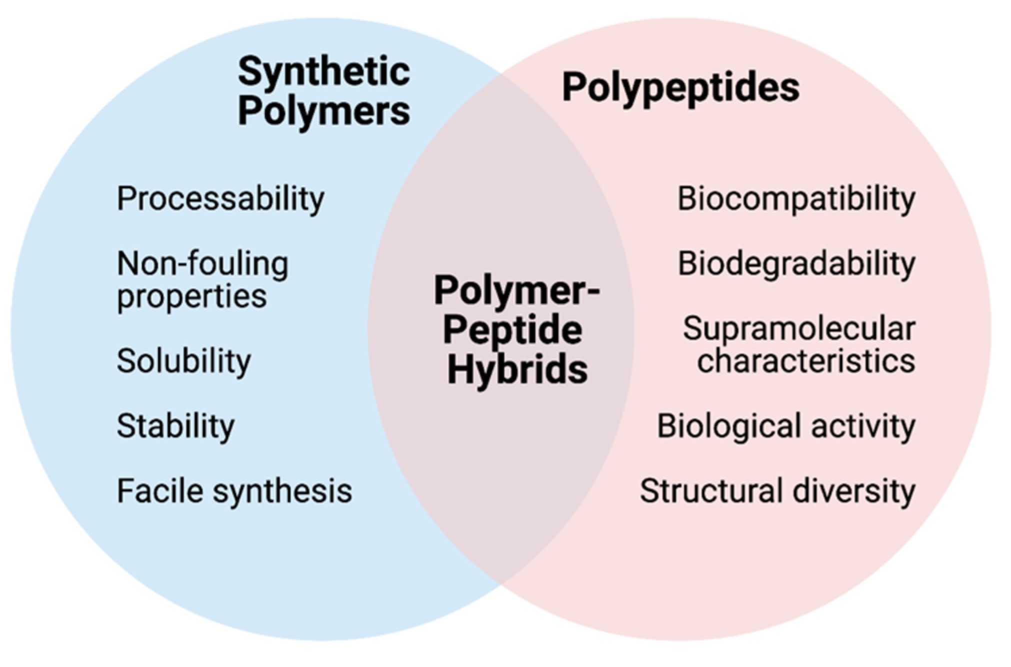 Polymers 13 00624 g001