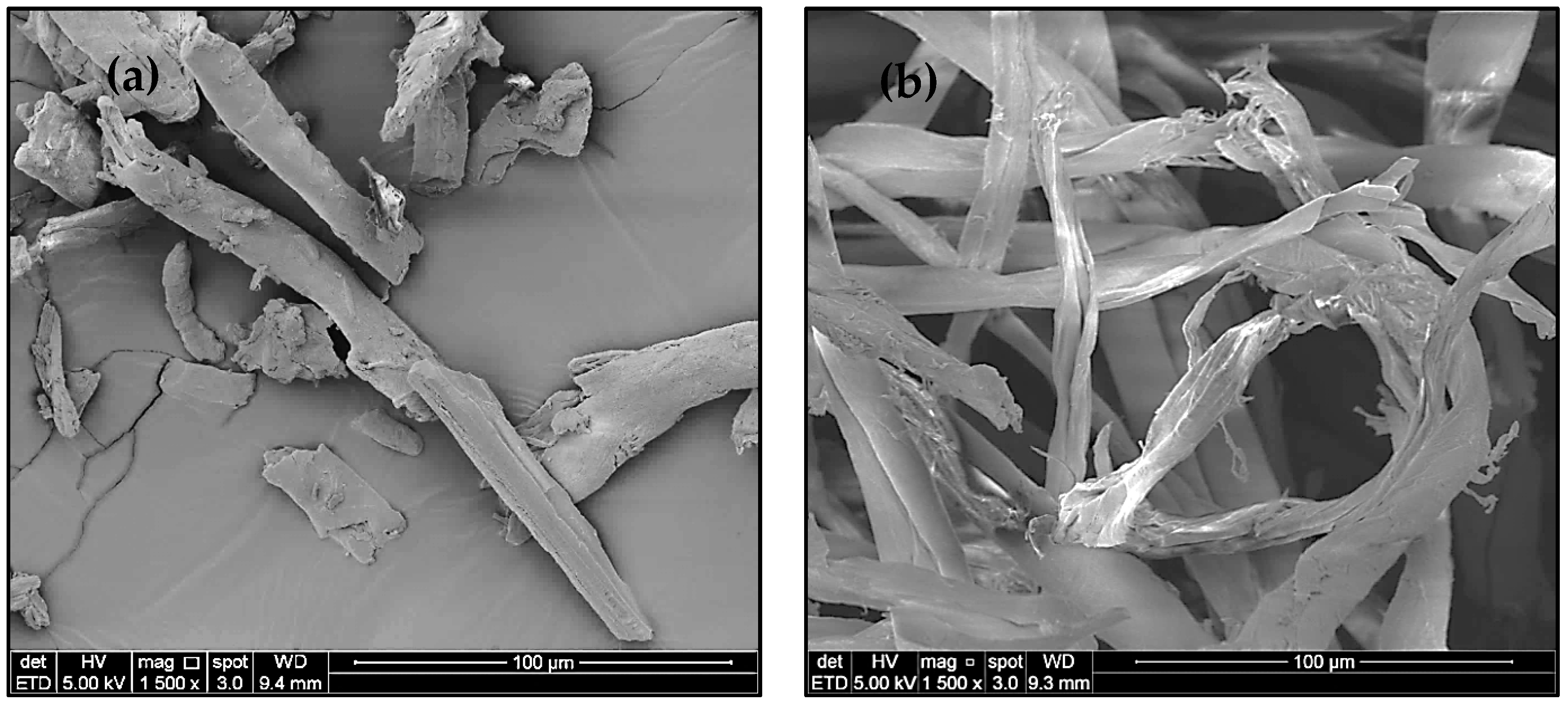 Polymers 13 00626 g002a Polymers 13 00626 g002a
