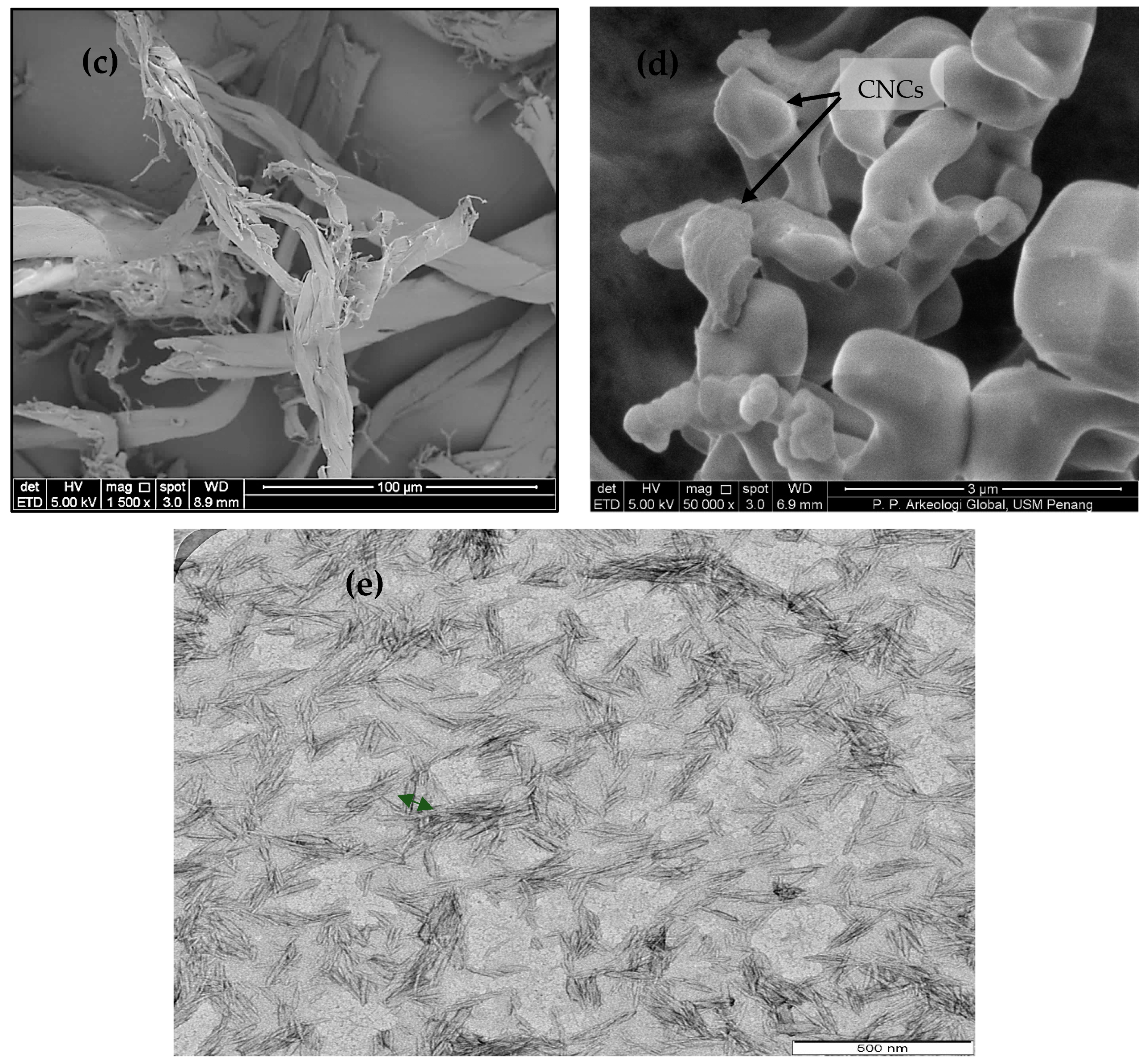 Polymers 13 00626 g002b Polymers 13 00626 g002b