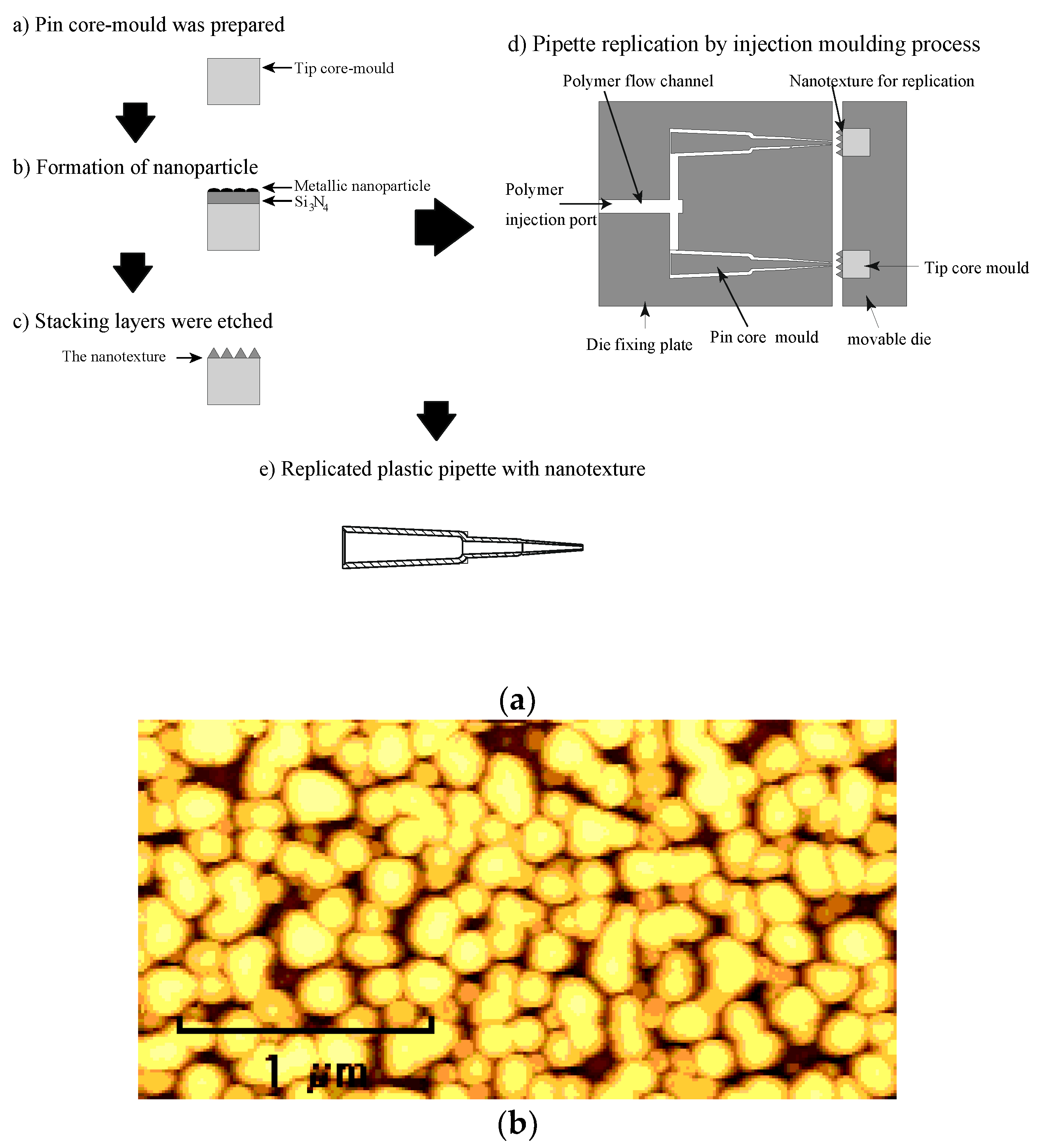 Polymers 13 00628 g004