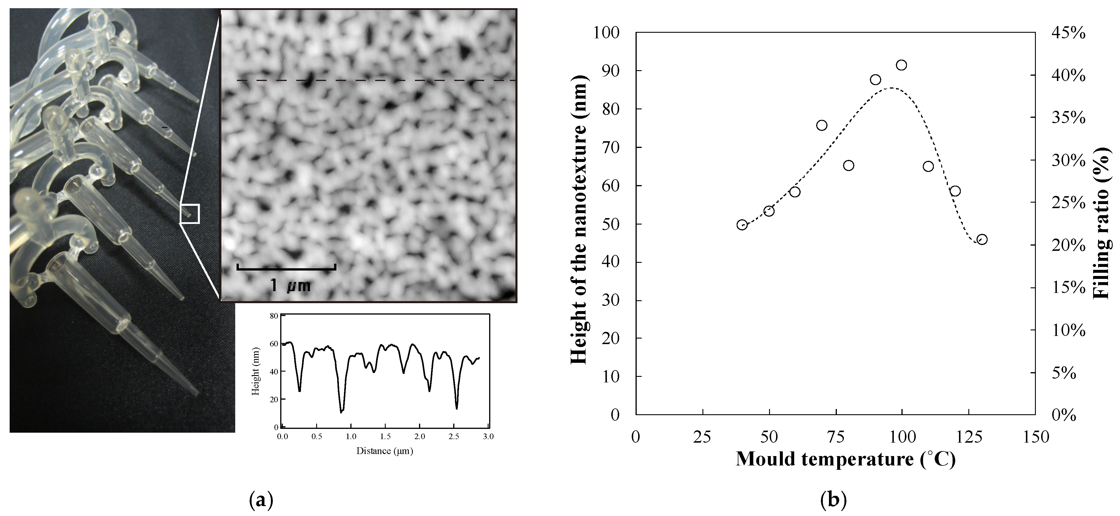Polymers 13 00628 g005