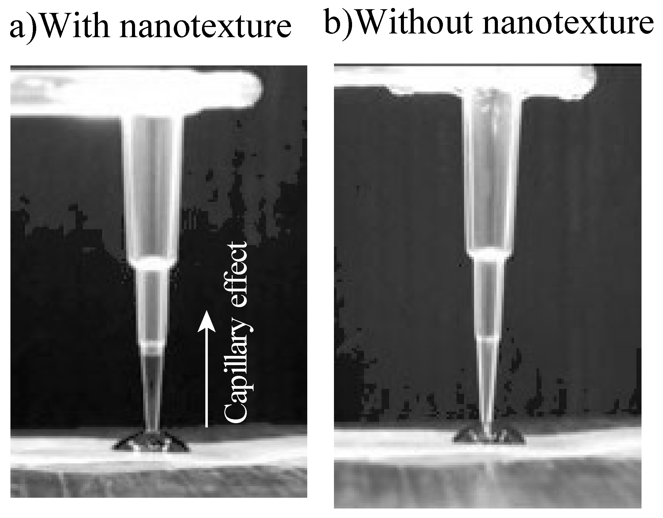 Polymers Free FullText Capillary Effect Enhancement in a Plastic