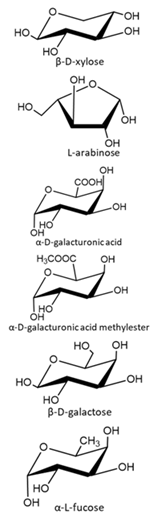 Polymers 13 00631 i008