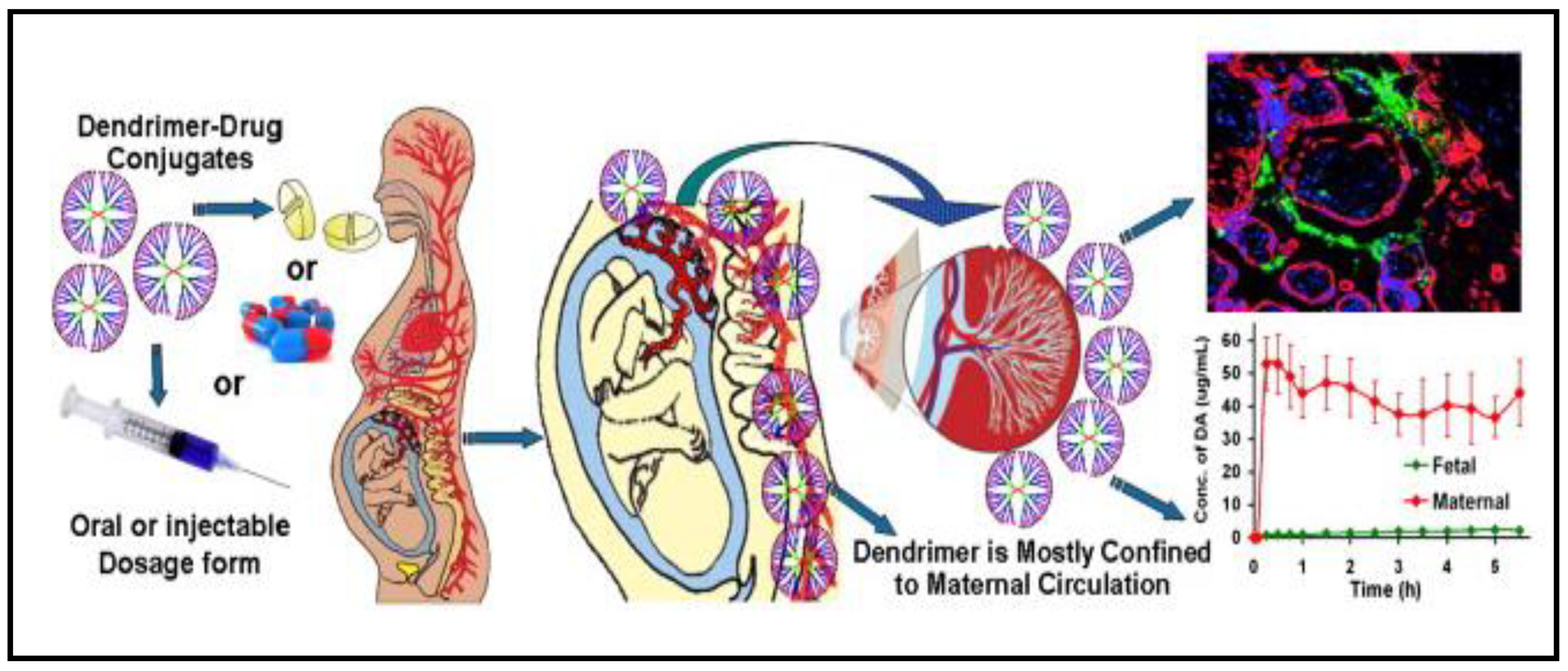 Polymers 13 00633 g002 Polymers 13 00633 g002