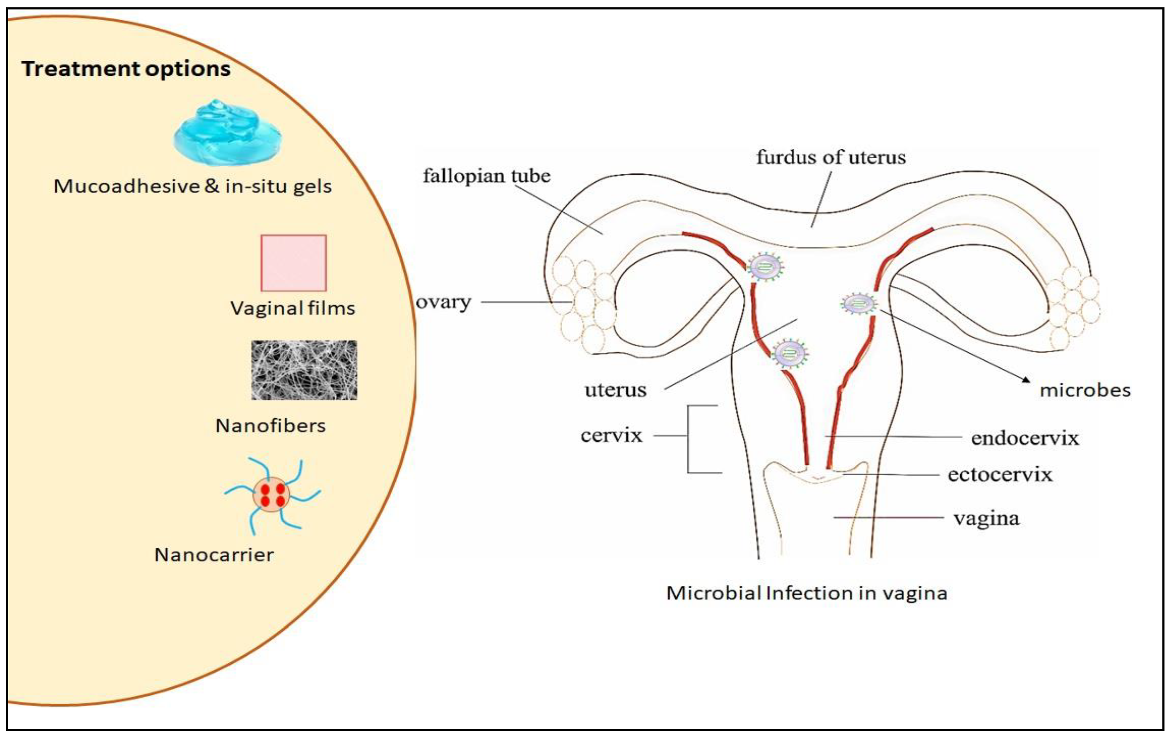 Polymers 13 00633 g006 Polymers 13 00633 g006