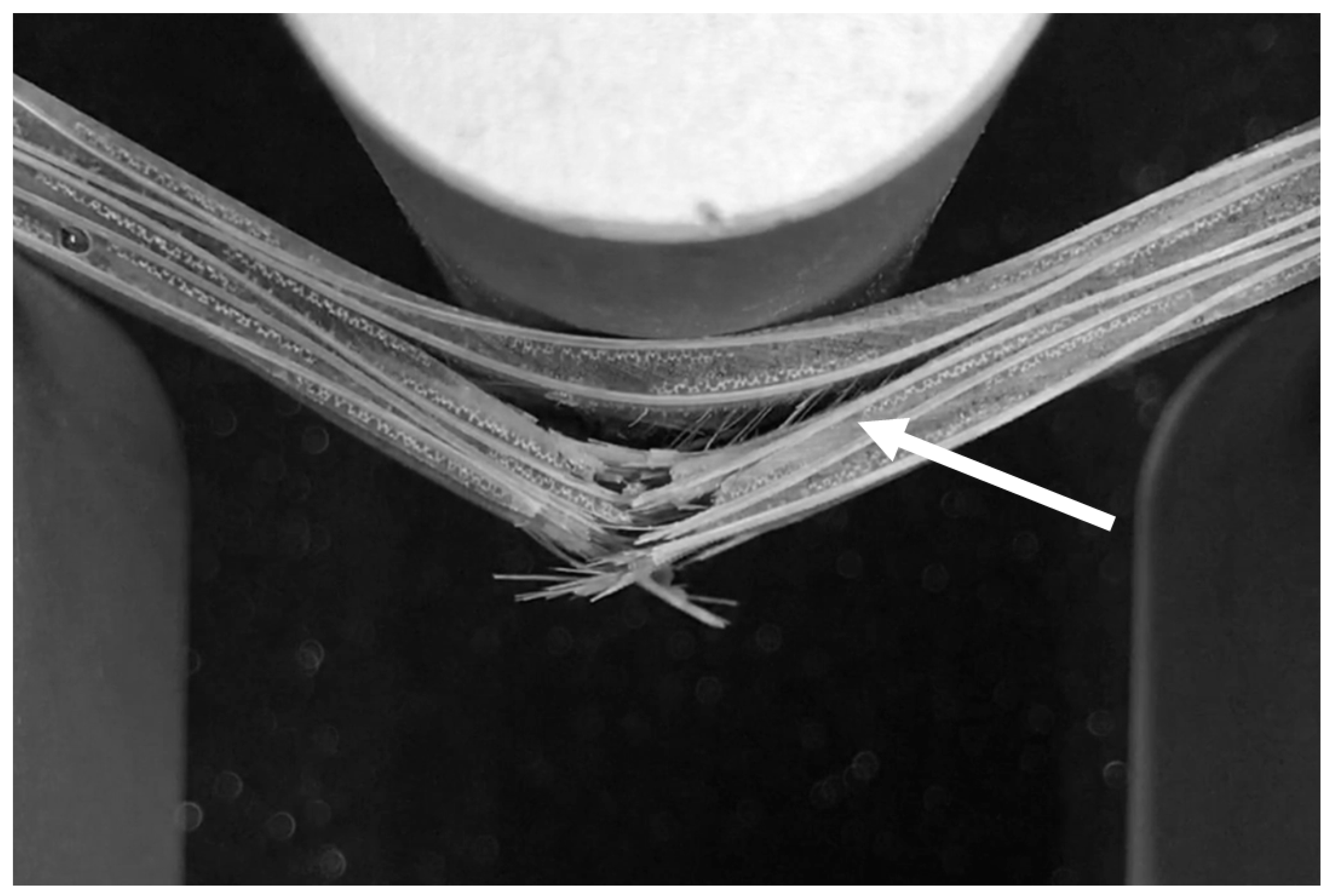 Polymers 13 00634 g006 Polymers 13 00634 g006