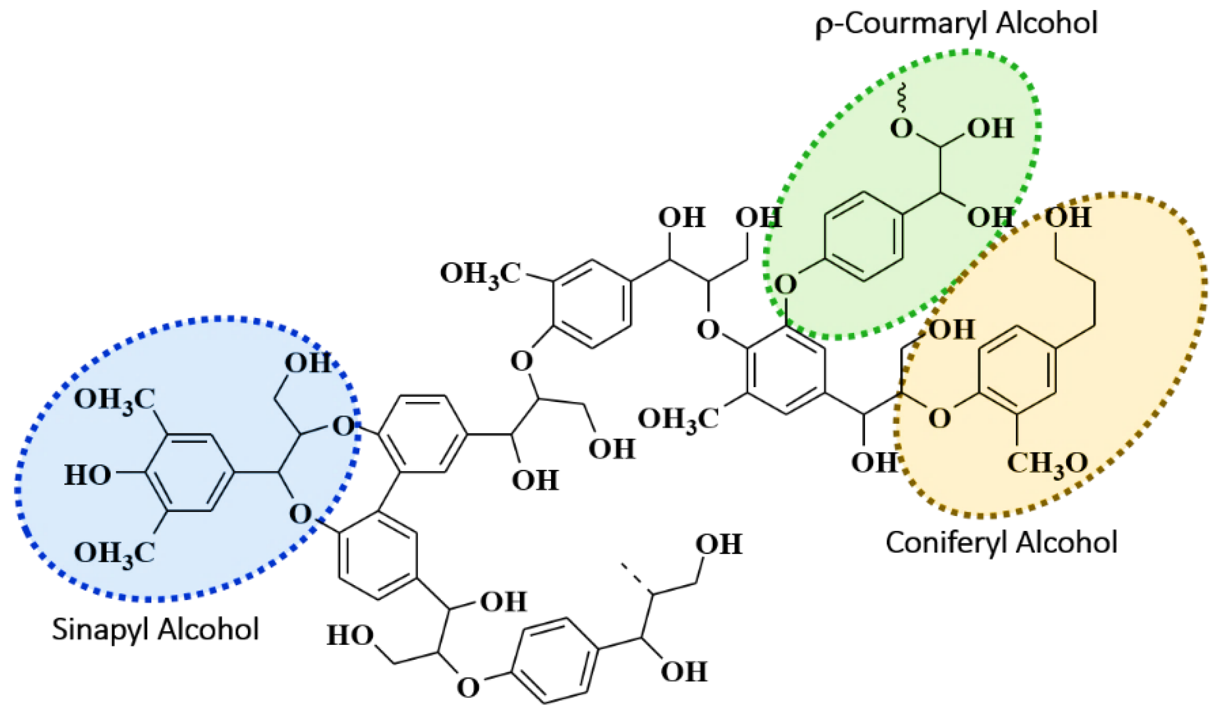 Polymers 13 00643 g001 Polymers 13 00643 g001