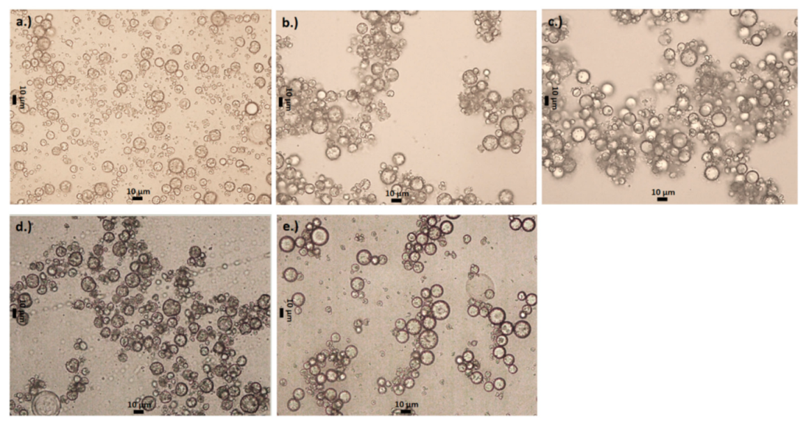 Polymers 13 00644 g004
