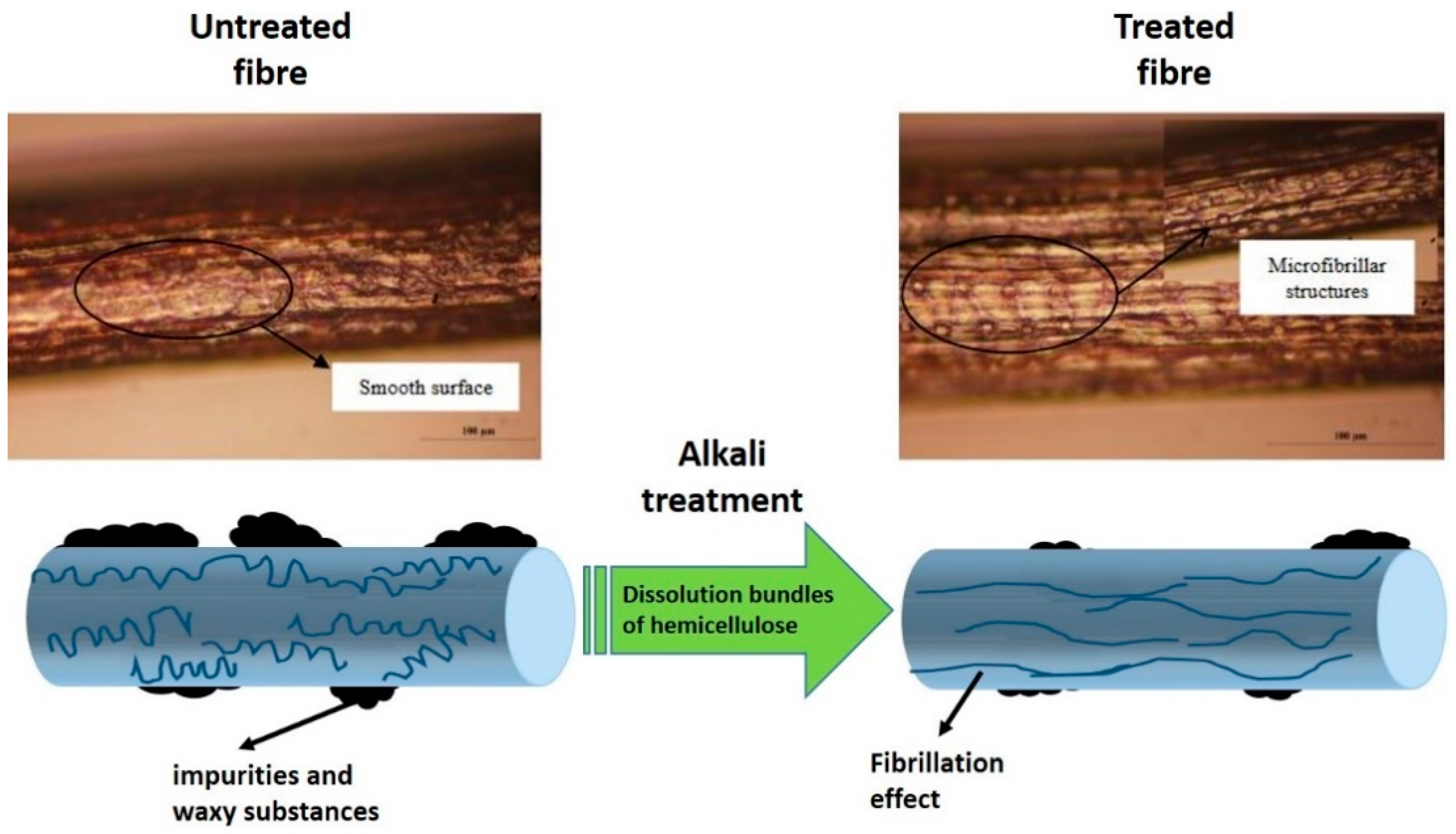 Polymers 13 00646 g008 Polymers 13 00646 g008