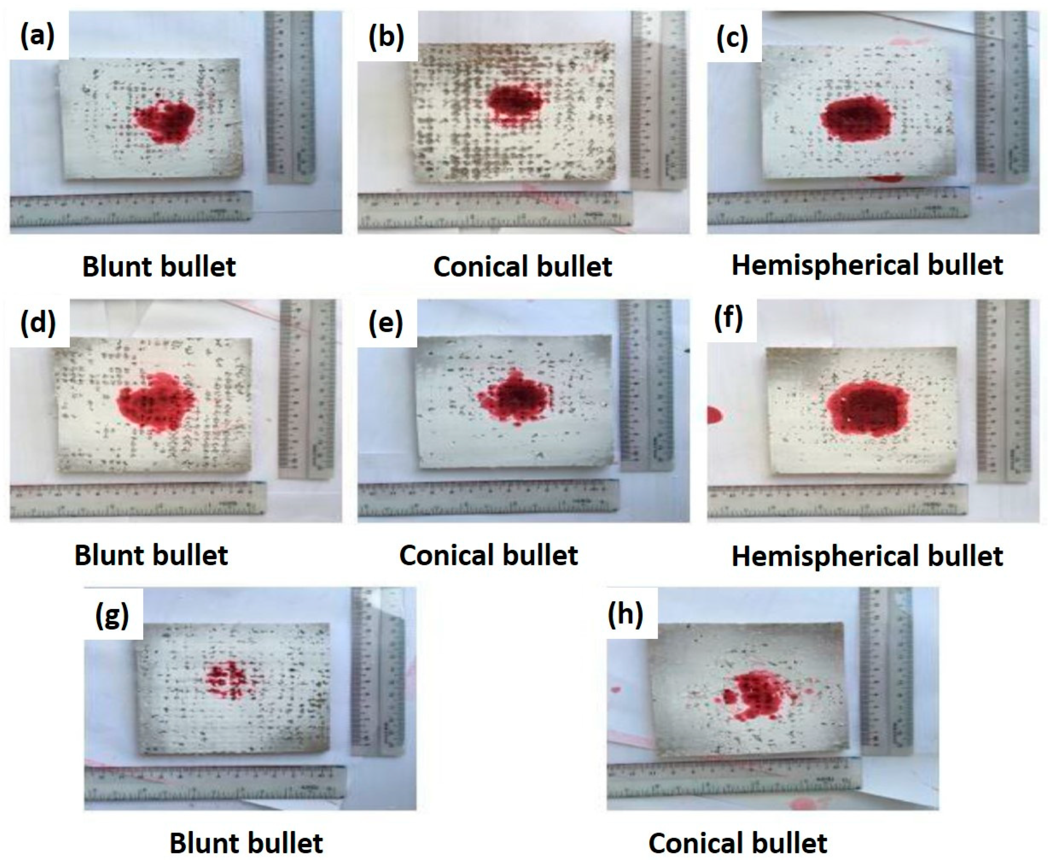 Polymers 13 00646 g013 Polymers 13 00646 g013