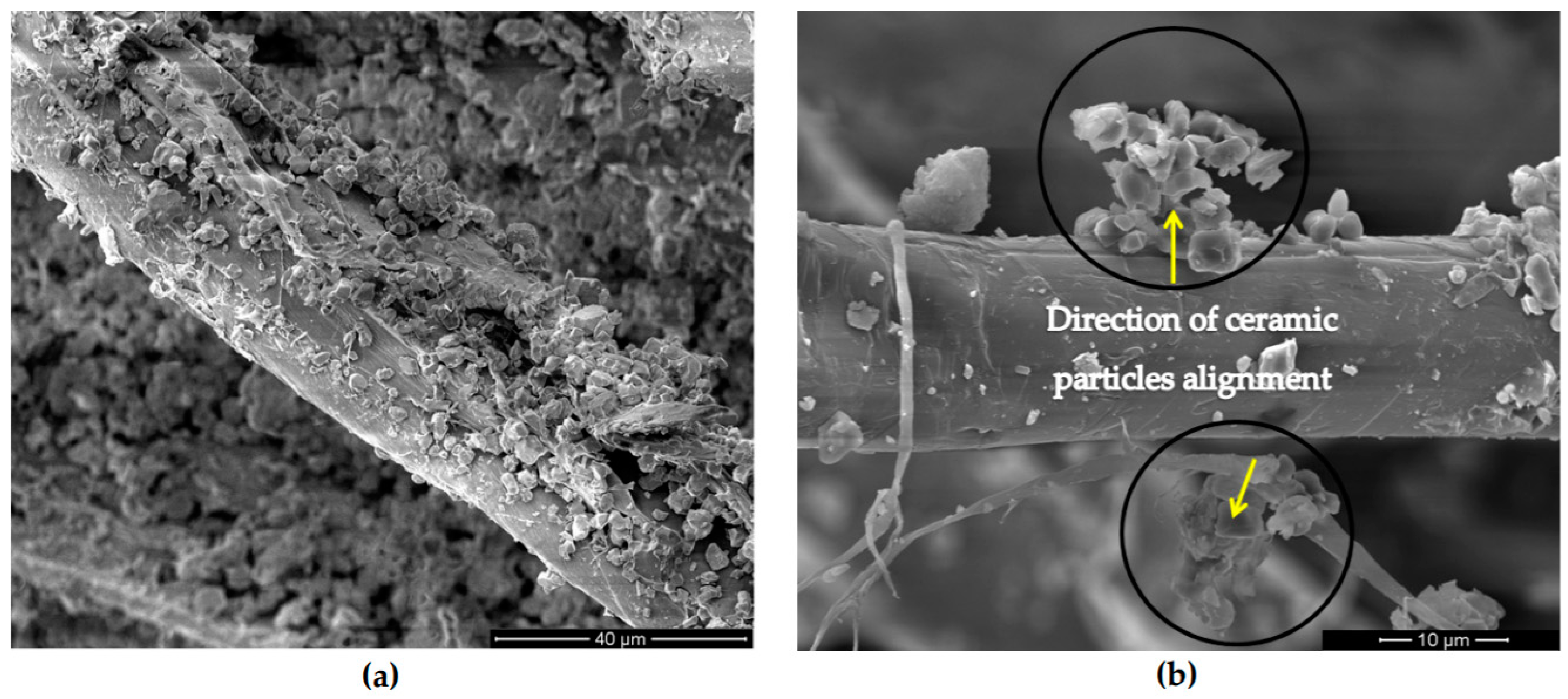 Polymers 13 00646 g018 Polymers 13 00646 g018