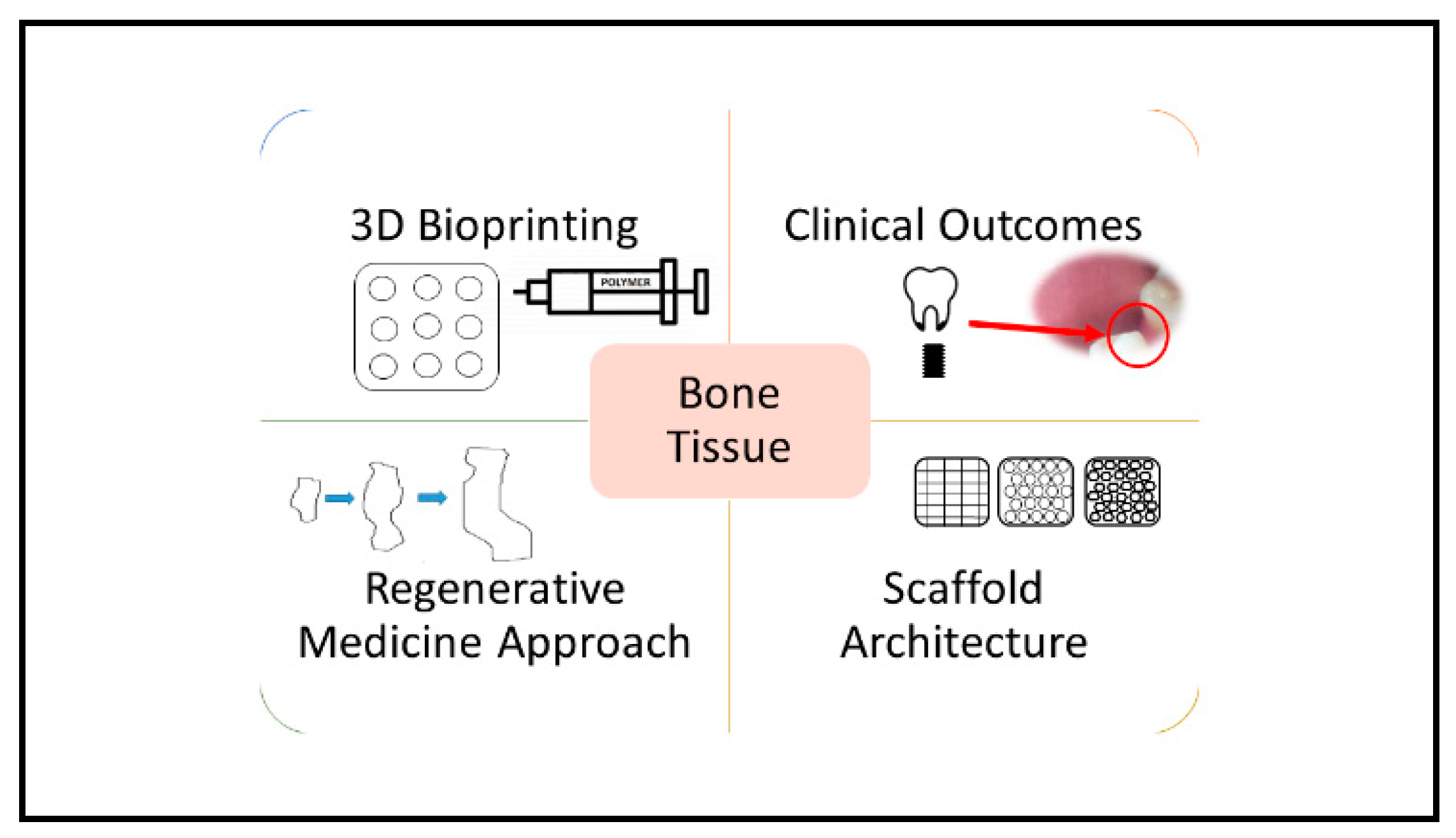 Polymers 13 00647 g001