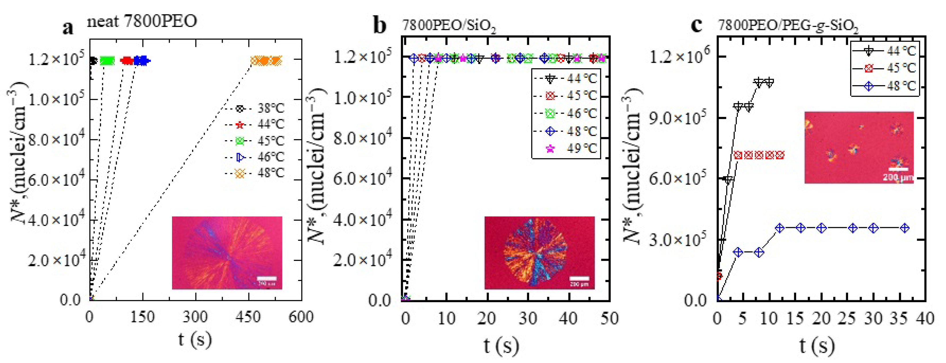 Polymers 13 00648 g0a2