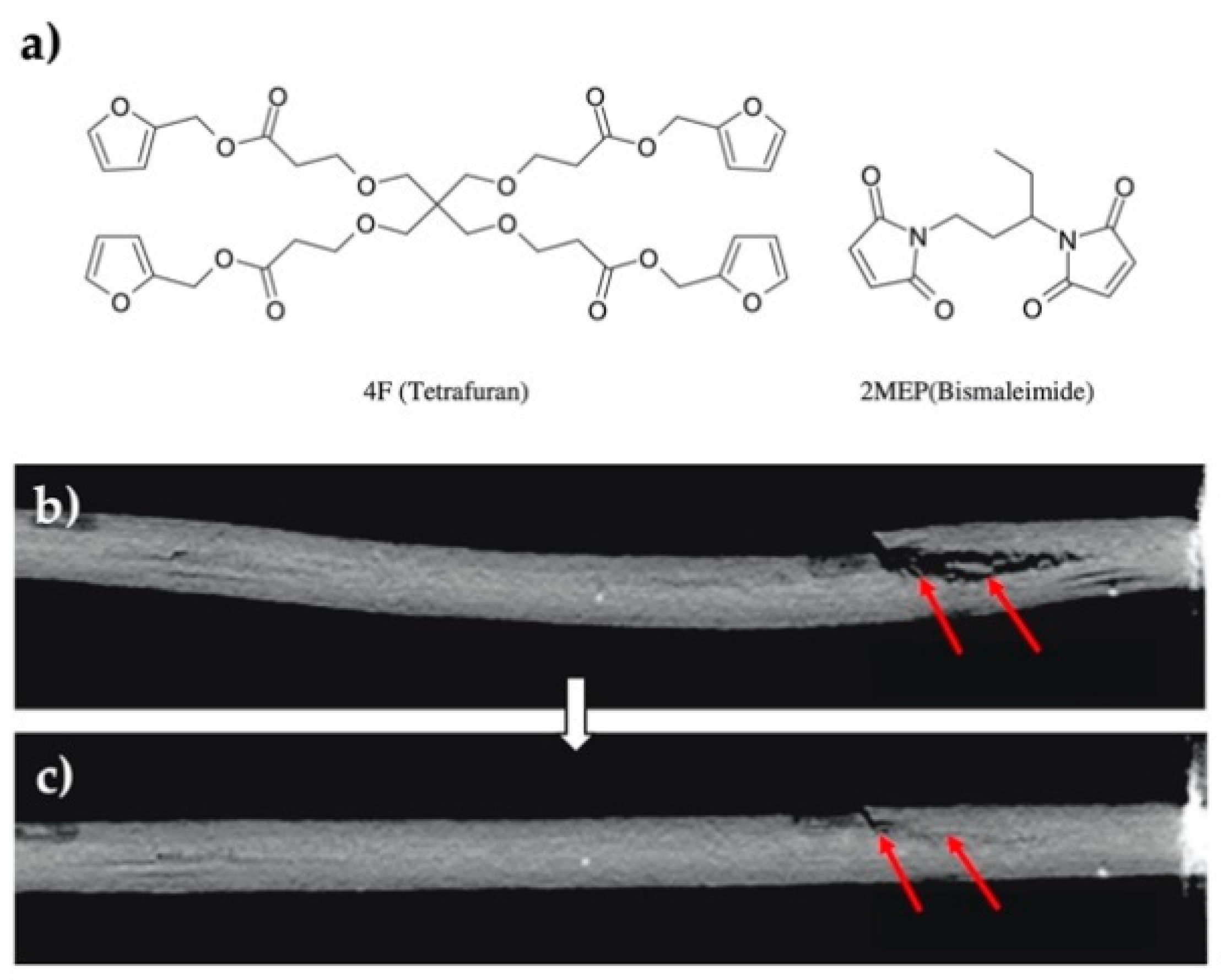 Polymers 13 00649 g005 Polymers 13 00649 g005