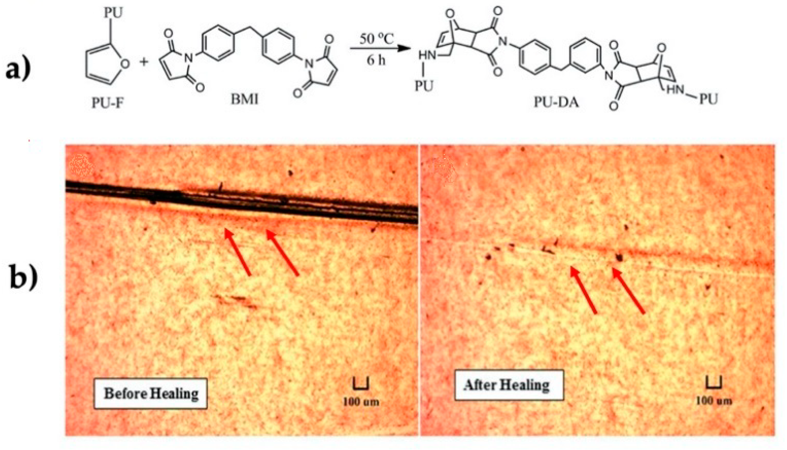 Polymers 13 00649 g006 Polymers 13 00649 g006