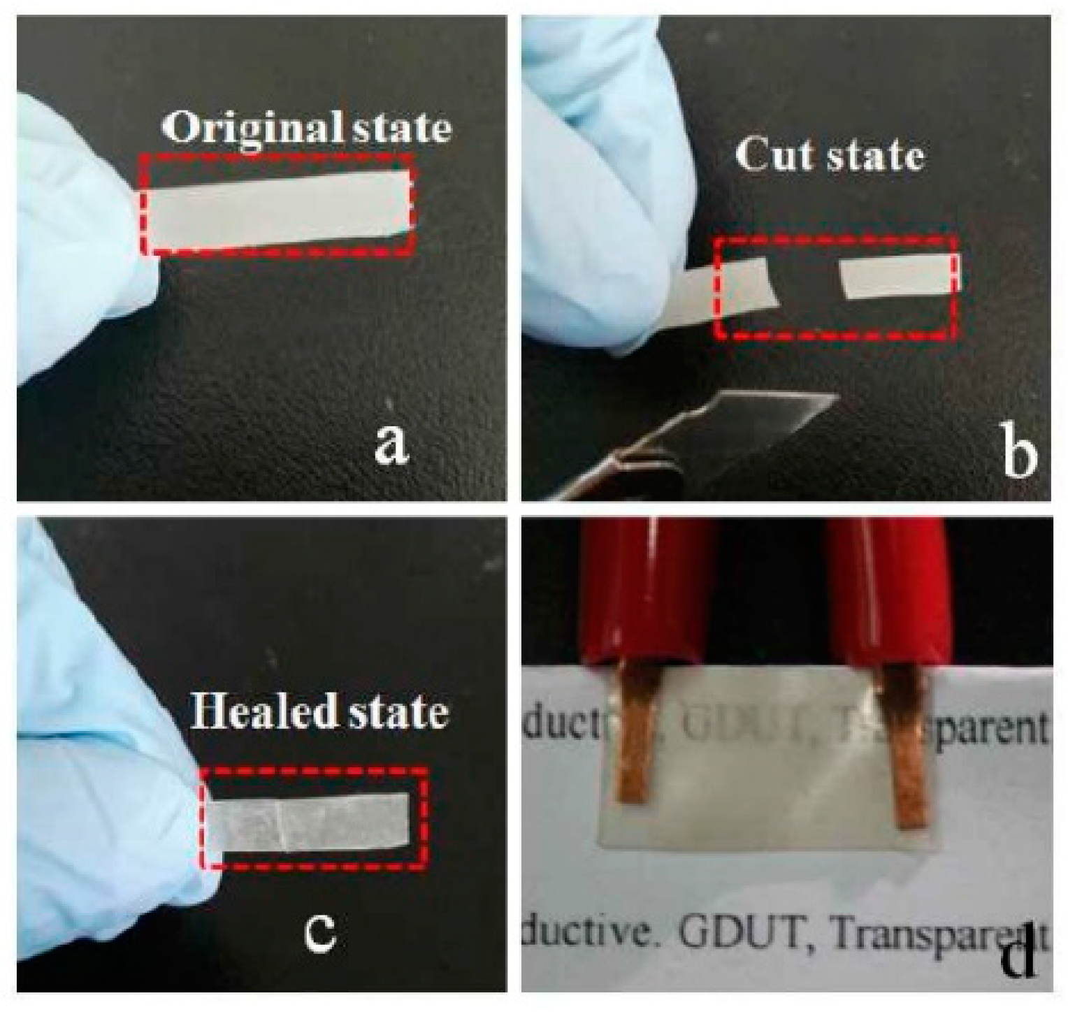 Polymers 13 00649 g013 Polymers 13 00649 g013