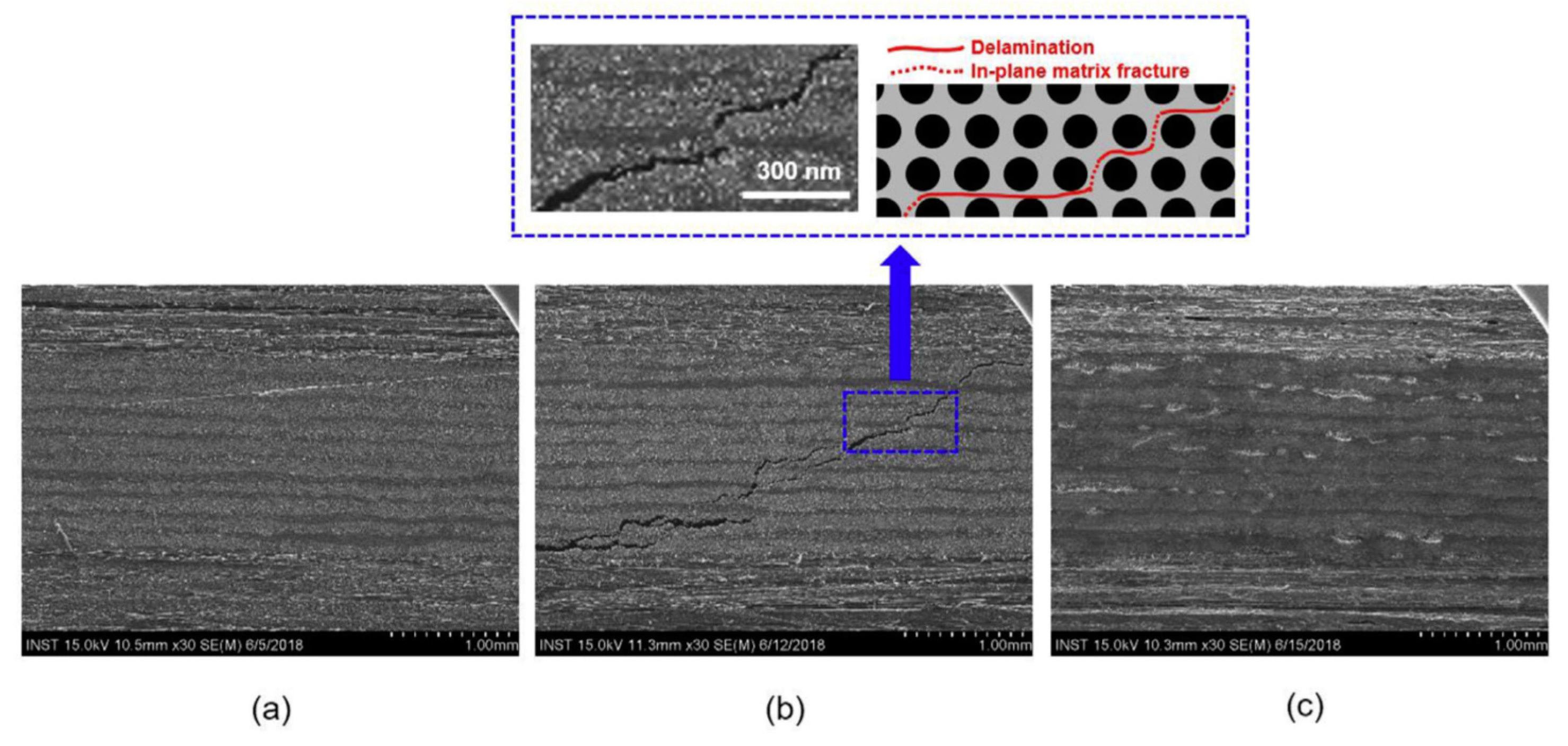 Polymers 13 00649 g014 Polymers 13 00649 g014