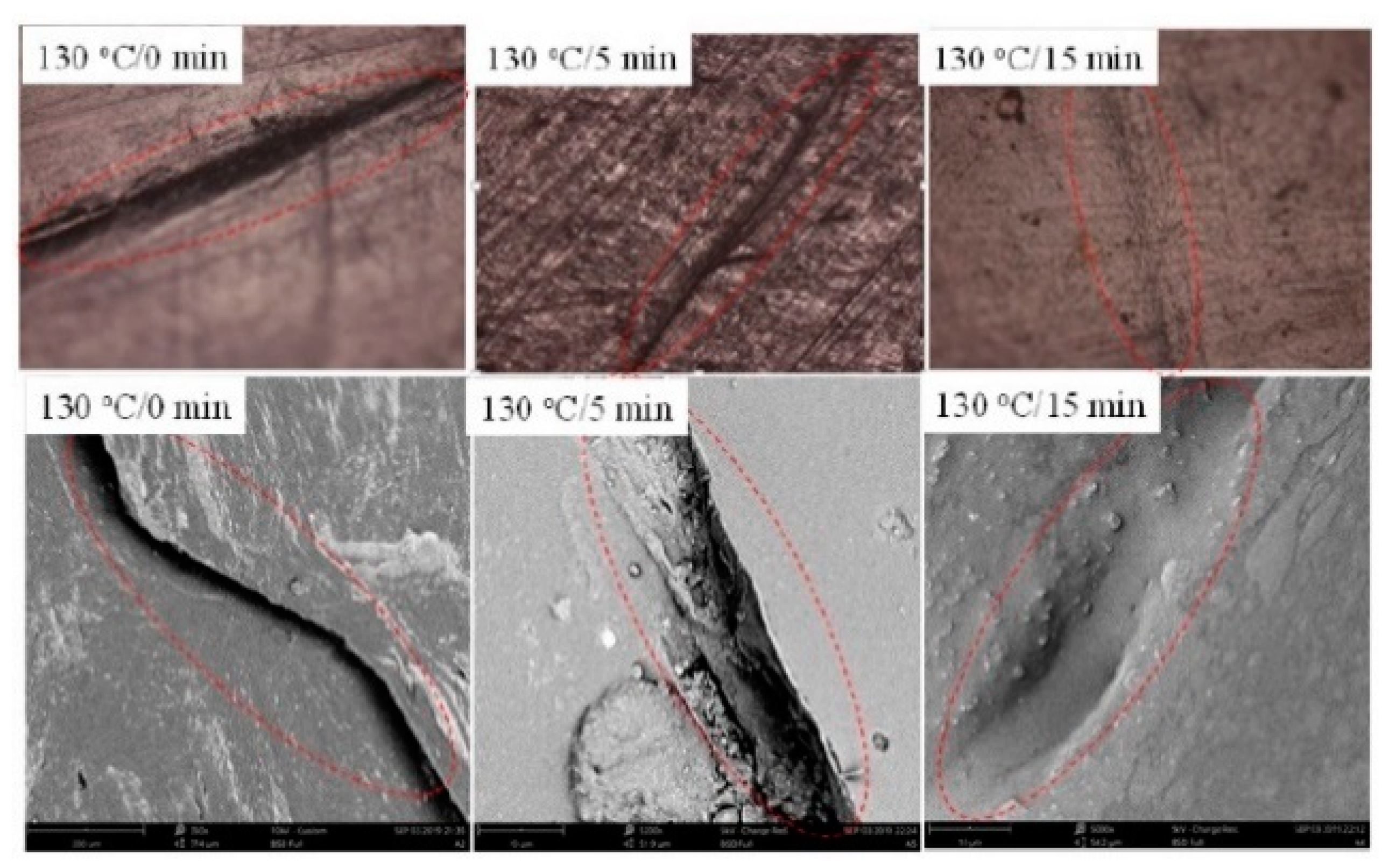 Polymers 13 00649 g015 Polymers 13 00649 g015