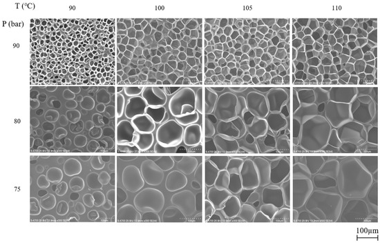 Polymers 13 00656 g002 550