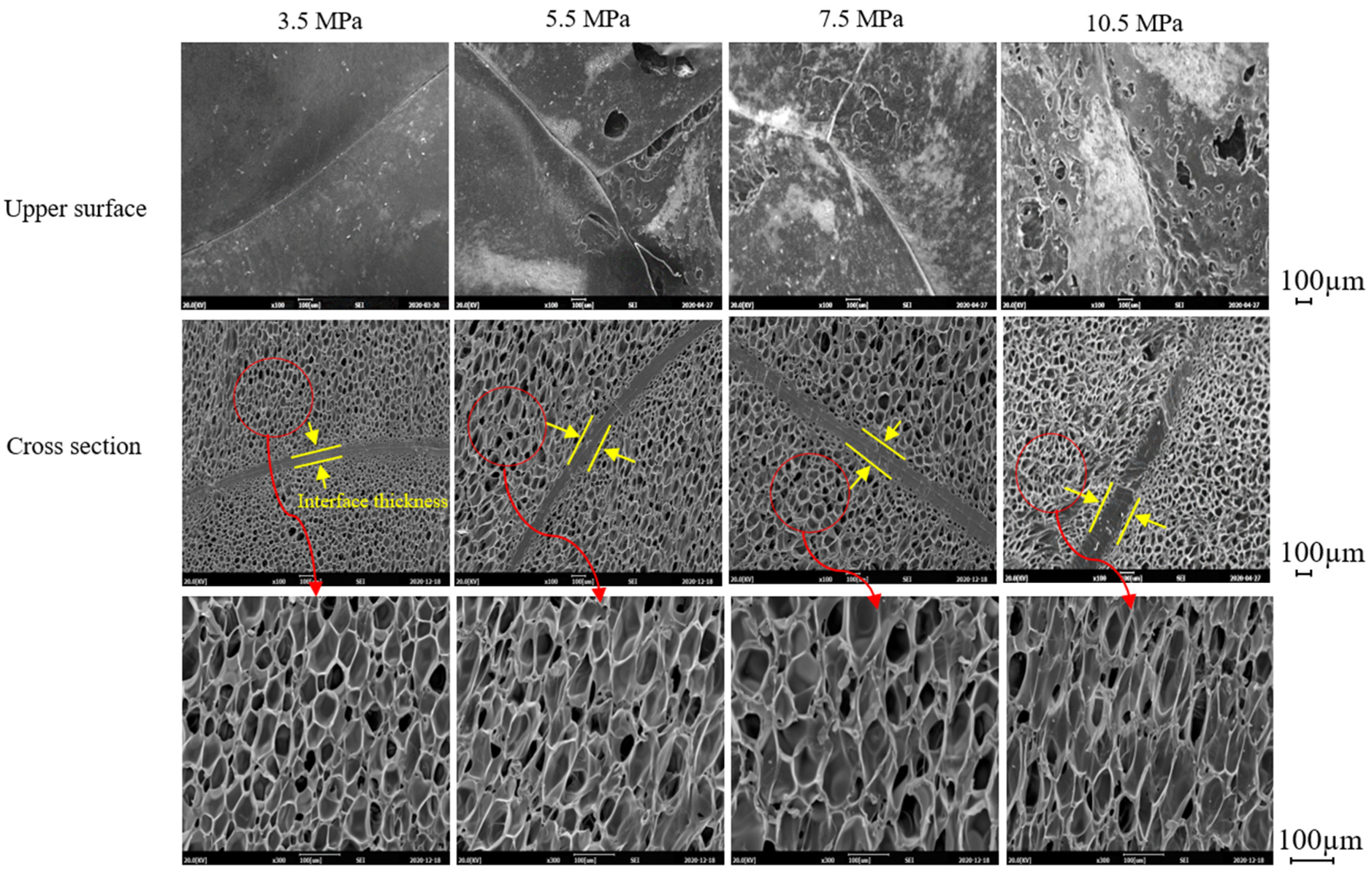 Polymers 13 00656 g007 Polymers 13 00656 g007