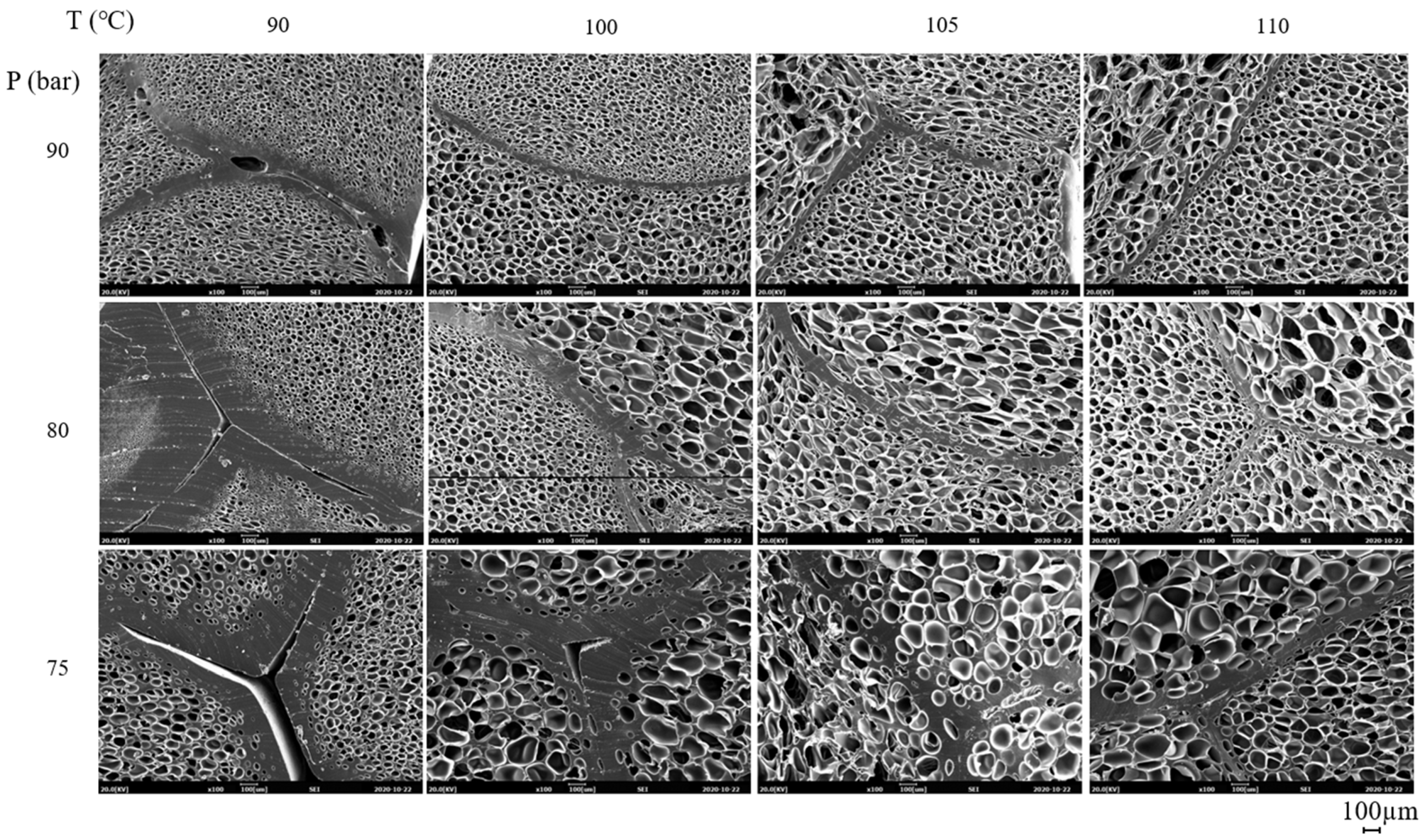 Polymers 13 00656 g008 Polymers 13 00656 g008