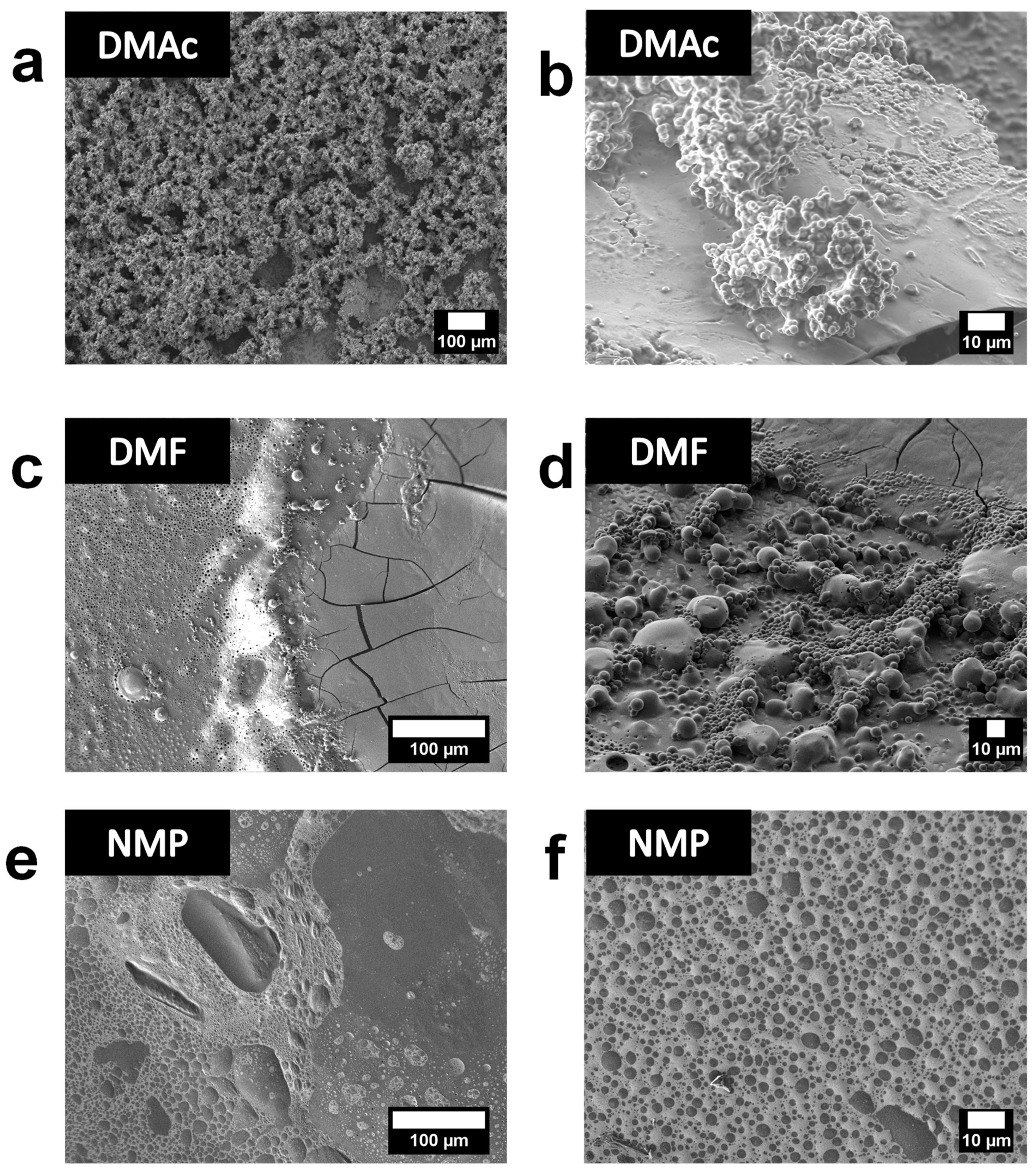 Polymers 13 00658 g008 Polymers 13 00658 g008