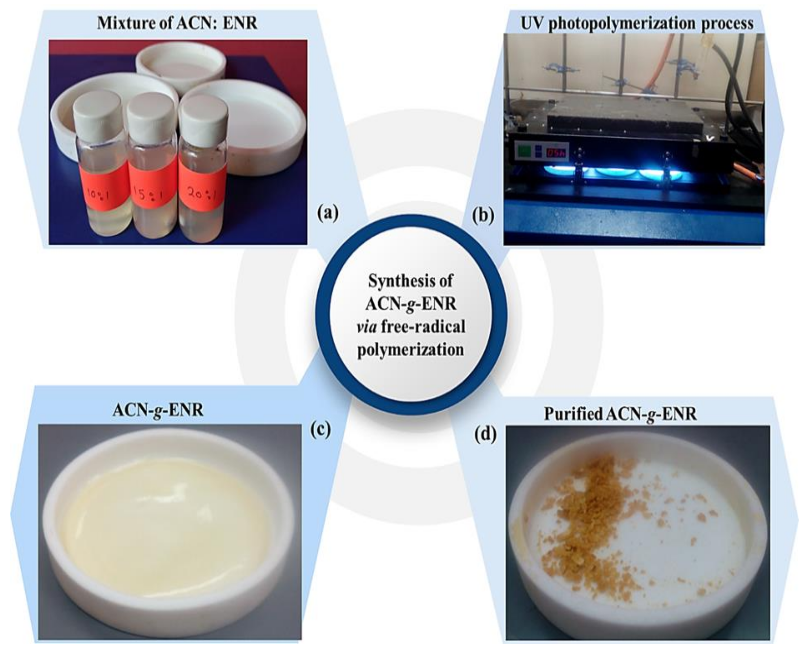 Polymers 13 00660 g002