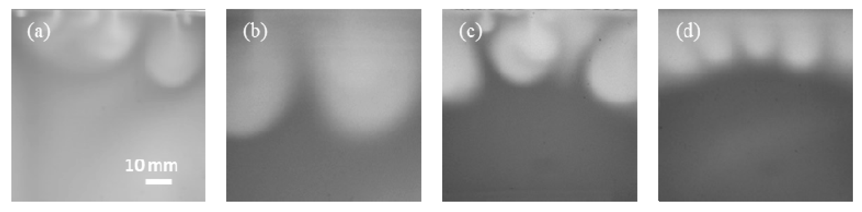 Polymers 13 00661 g010